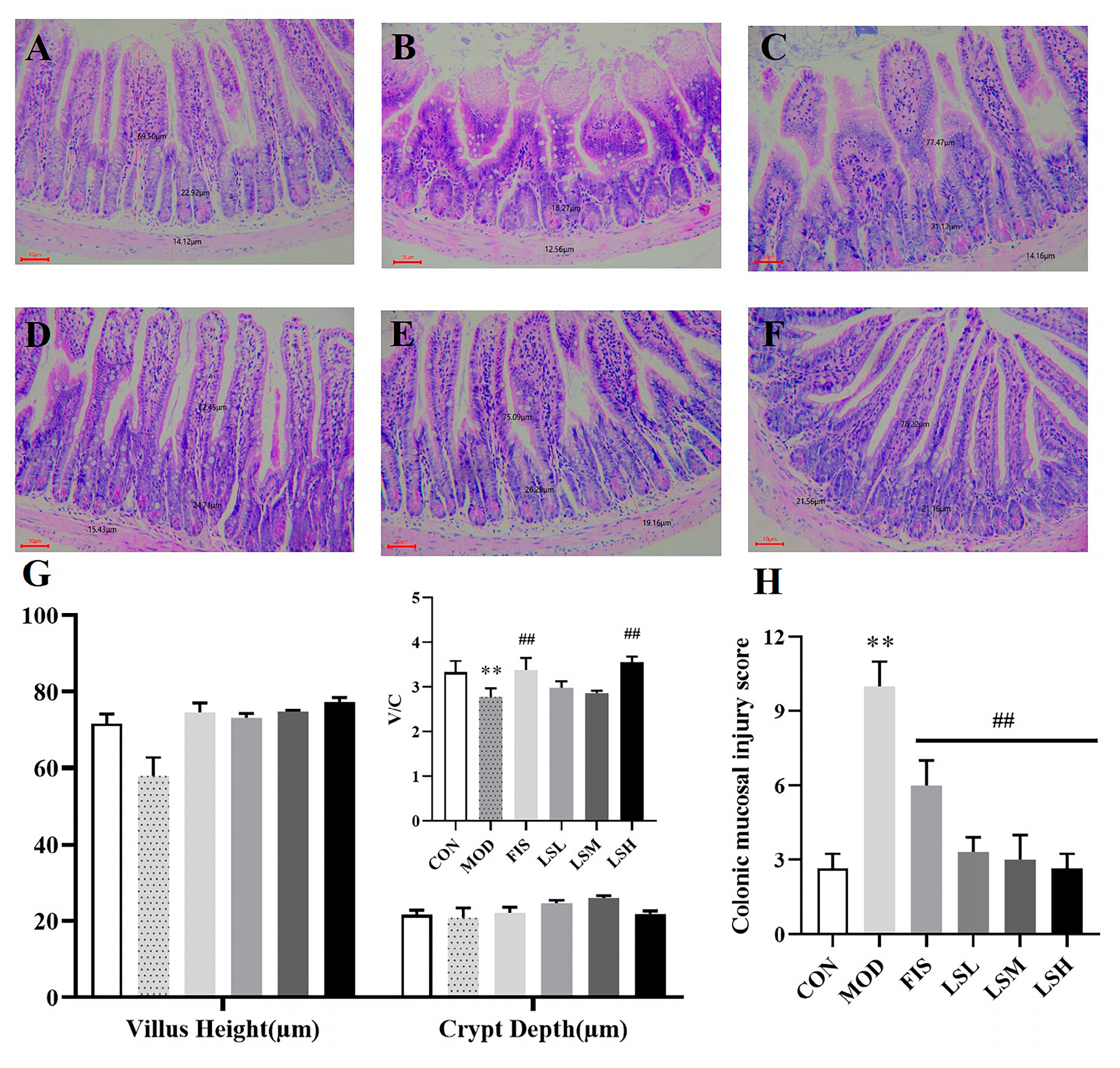 Foods 14 00330 g003 Foods 14 00330 g003