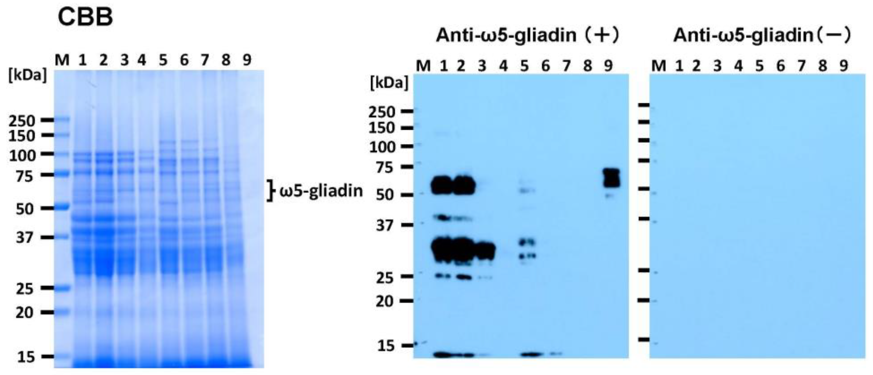 Foods 14 00364 g003 Foods 14 00364 g003
