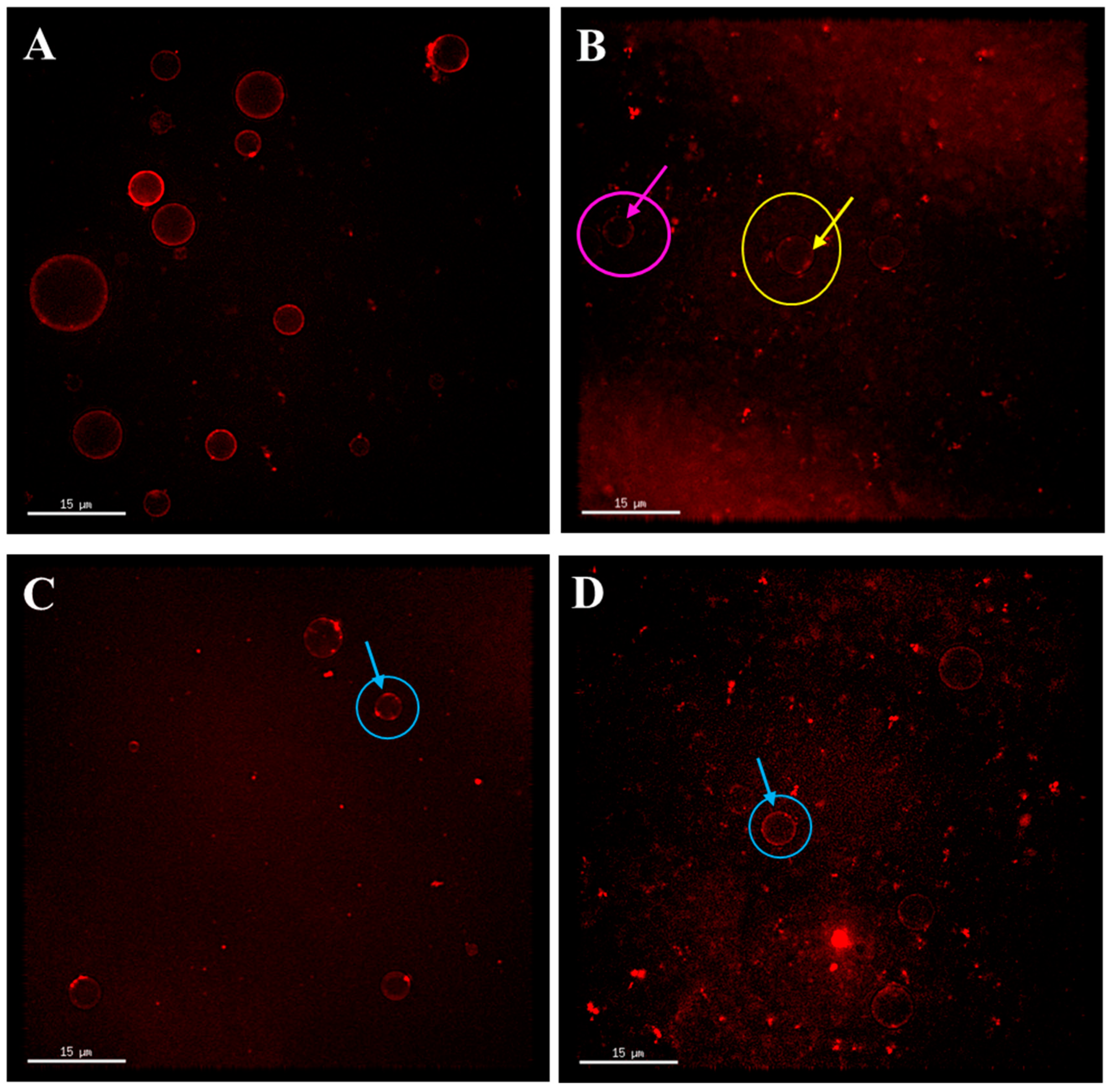 Foods 14 00375 g002 Foods 14 00375 g002