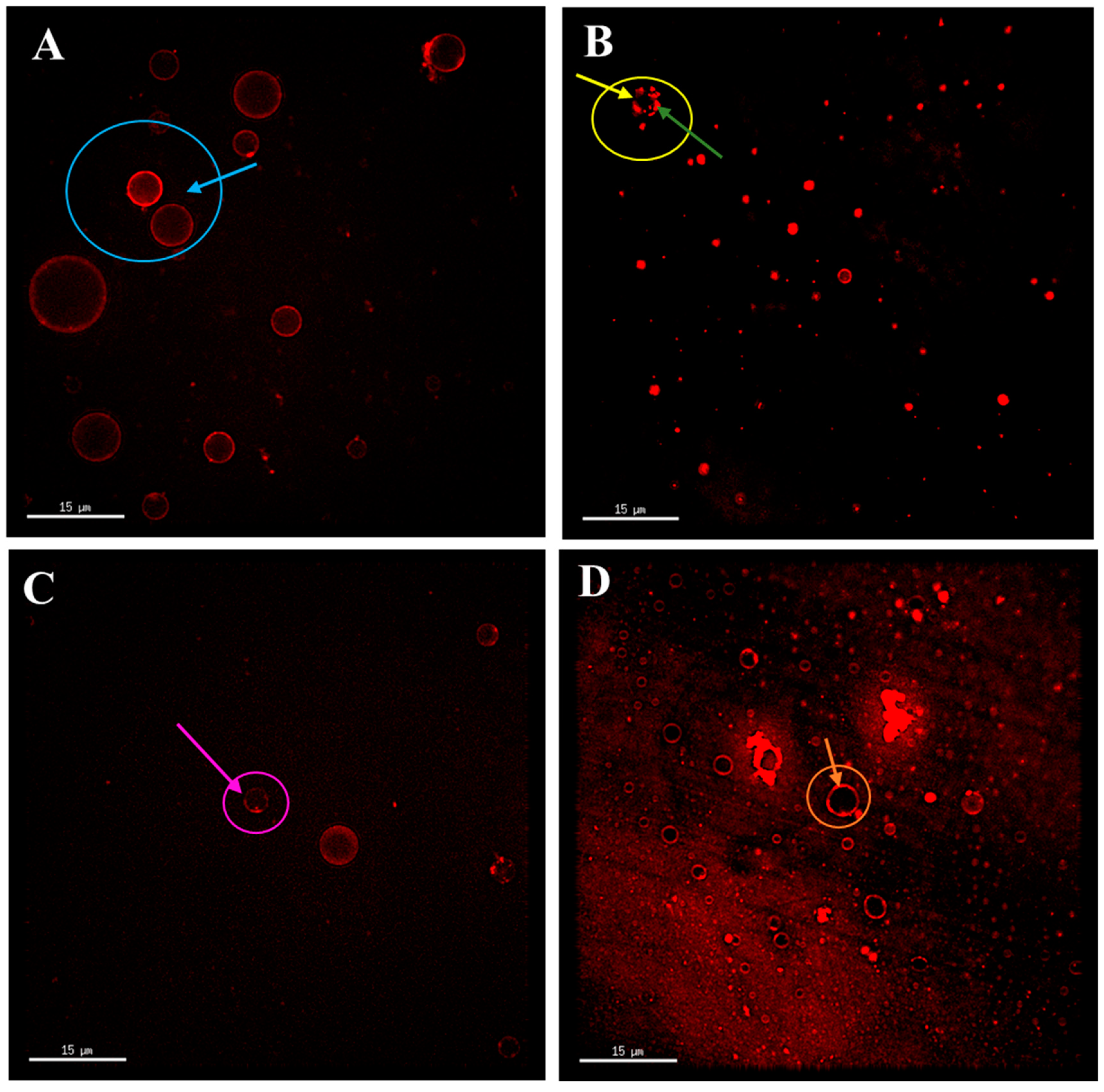 Foods 14 00375 g004 Foods 14 00375 g004