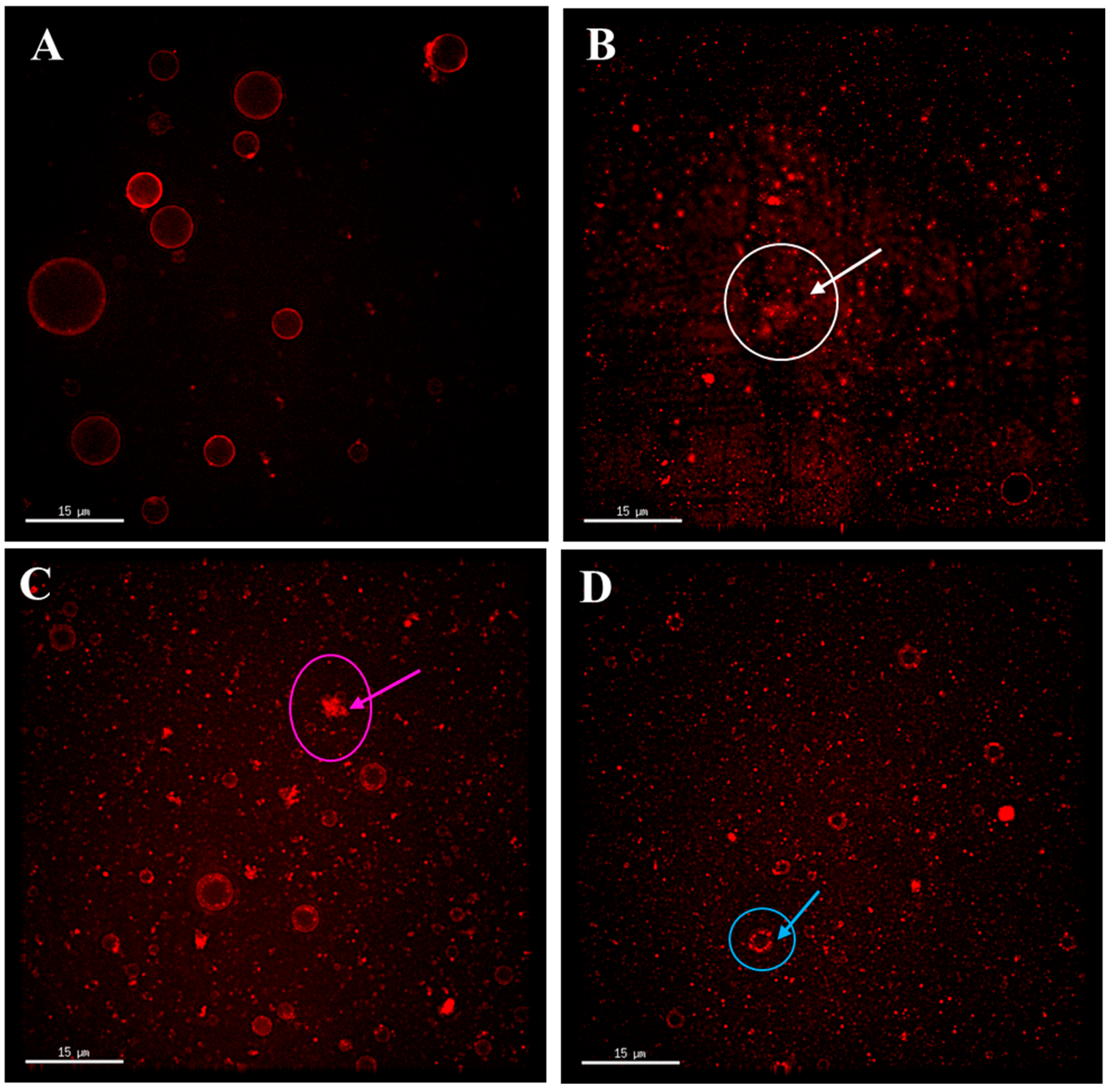 Foods 14 00375 g006 Foods 14 00375 g006