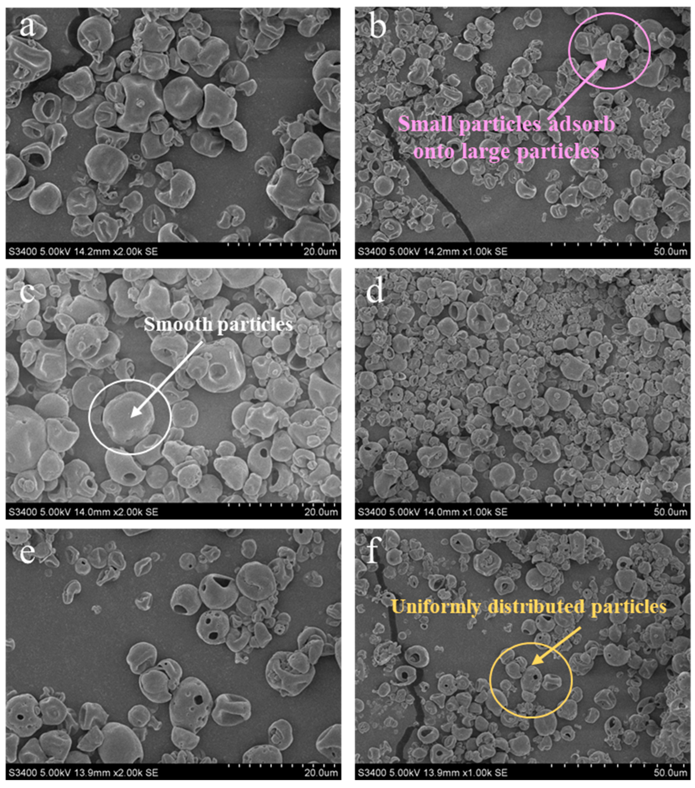 Foods 14 00375 g007 Foods 14 00375 g007
