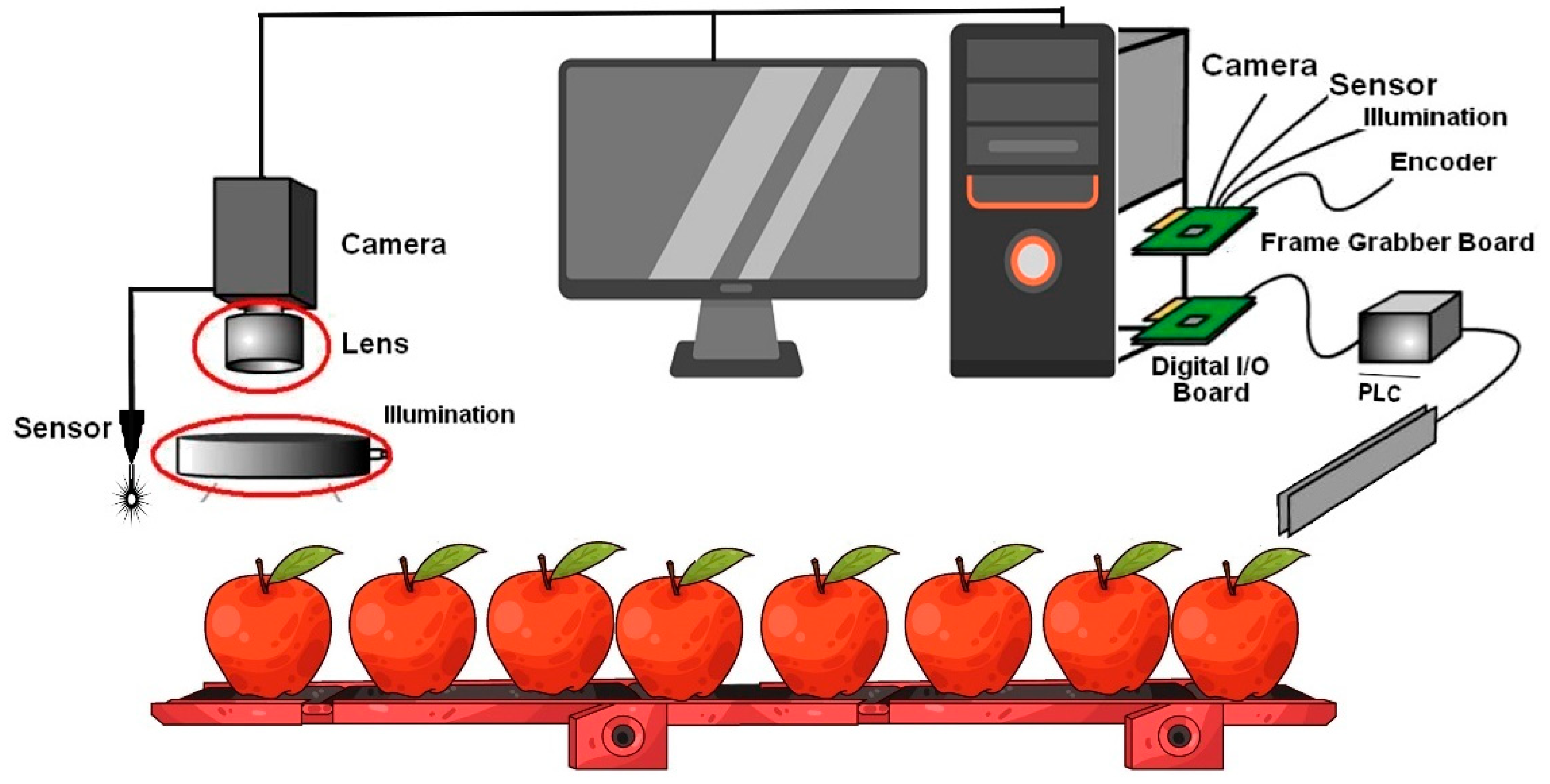 Foods 14 00411 g003 Foods 14 00411 g003