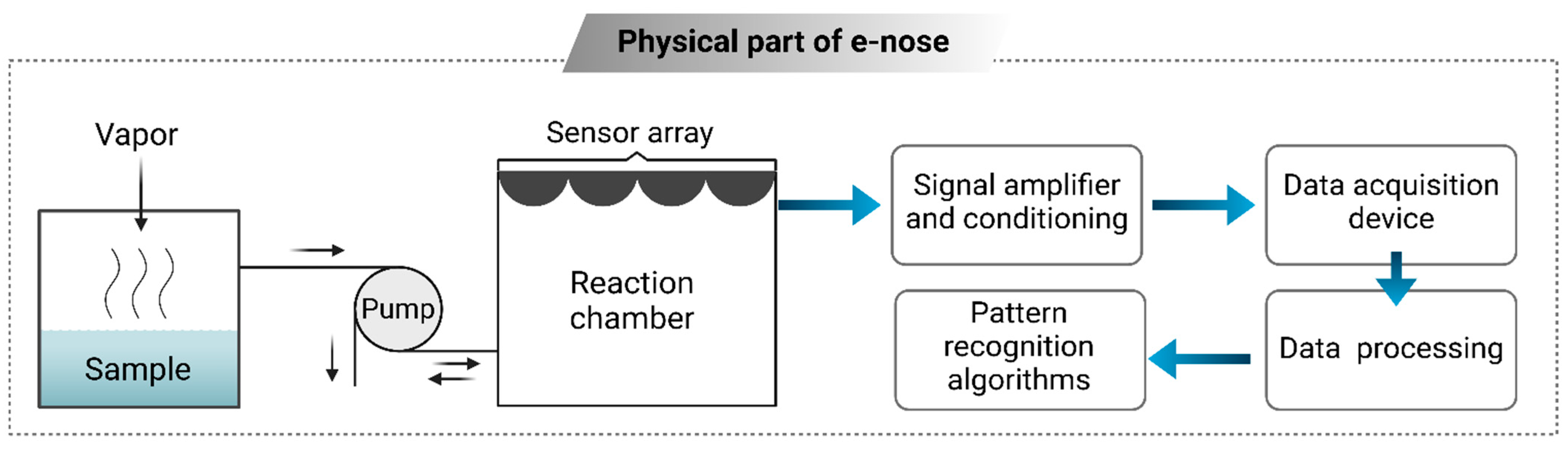 Foods 14 00411 g006 Foods 14 00411 g006