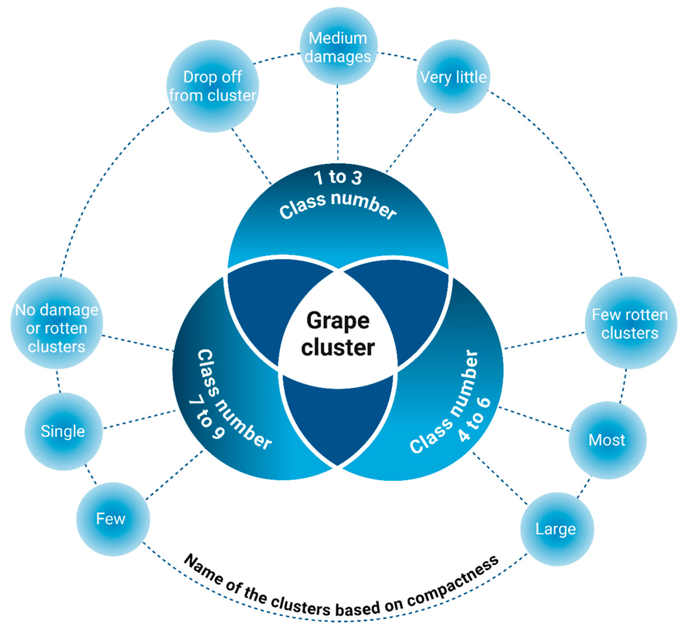 Foods 14 00411 g009 Foods 14 00411 g009