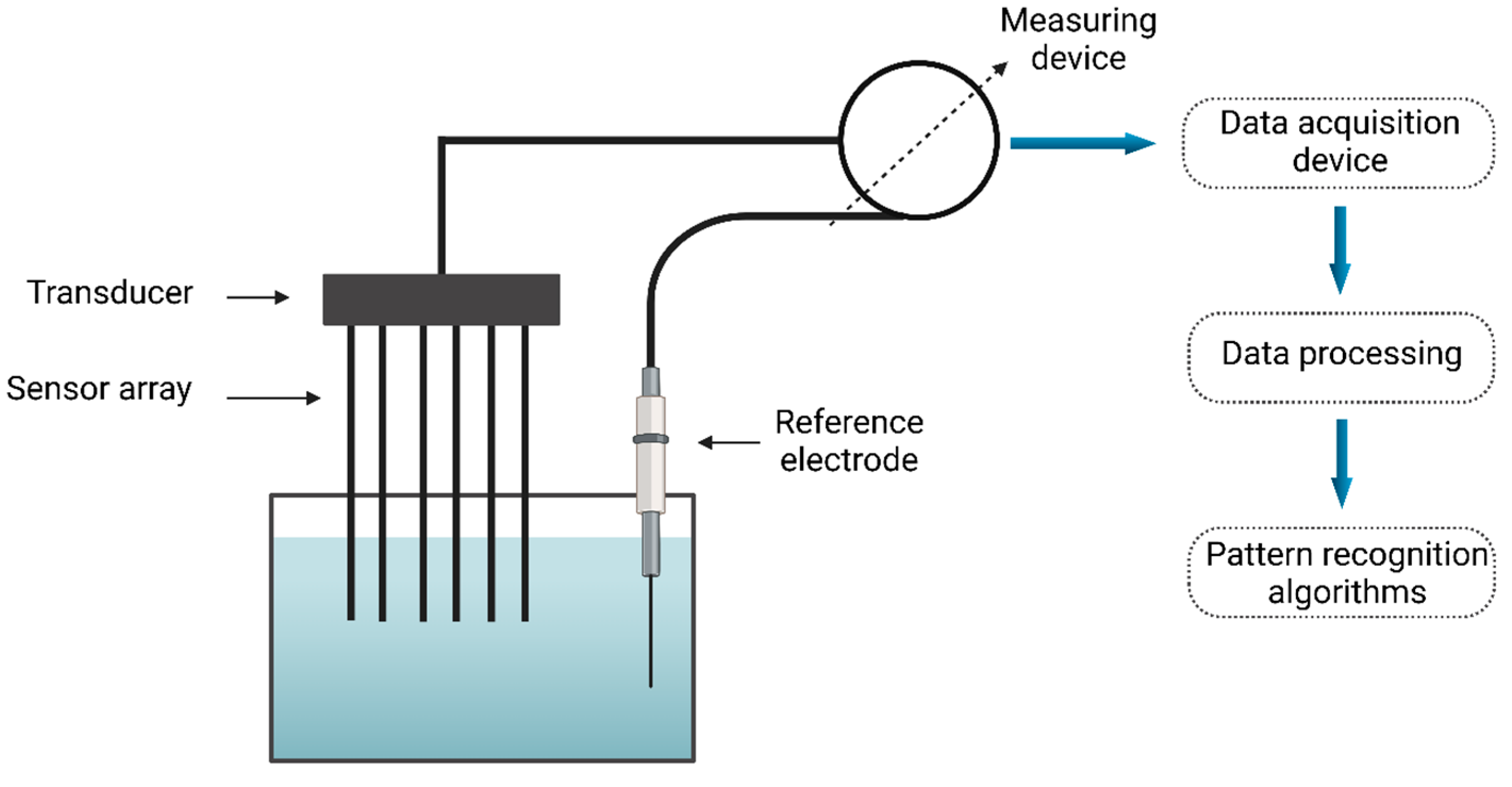 Foods 14 00411 g010 Foods 14 00411 g010