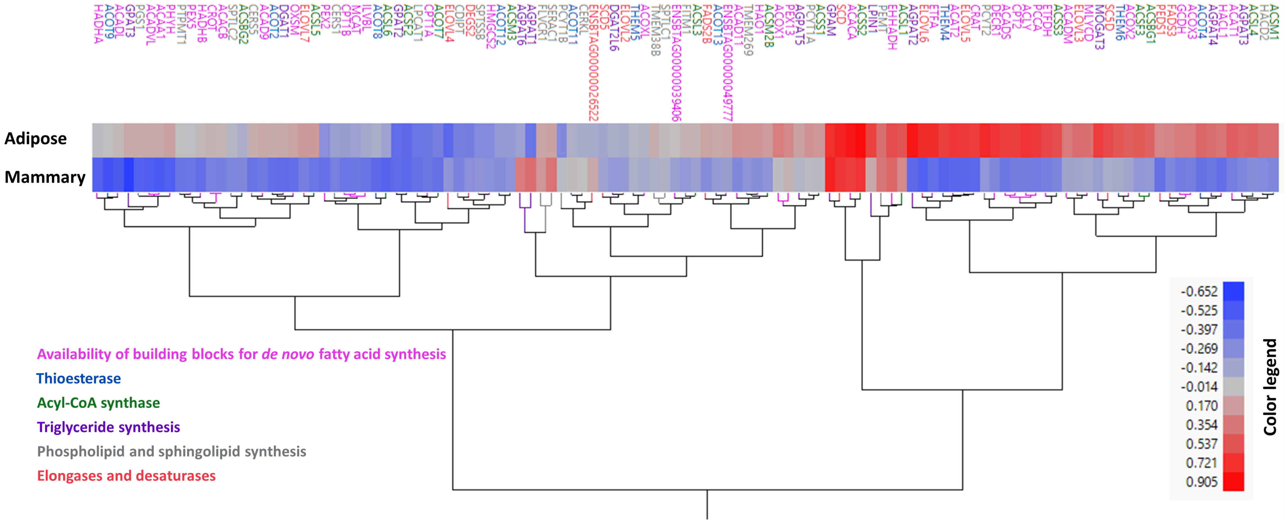 Foods 14 00412 g003 Foods 14 00412 g003
