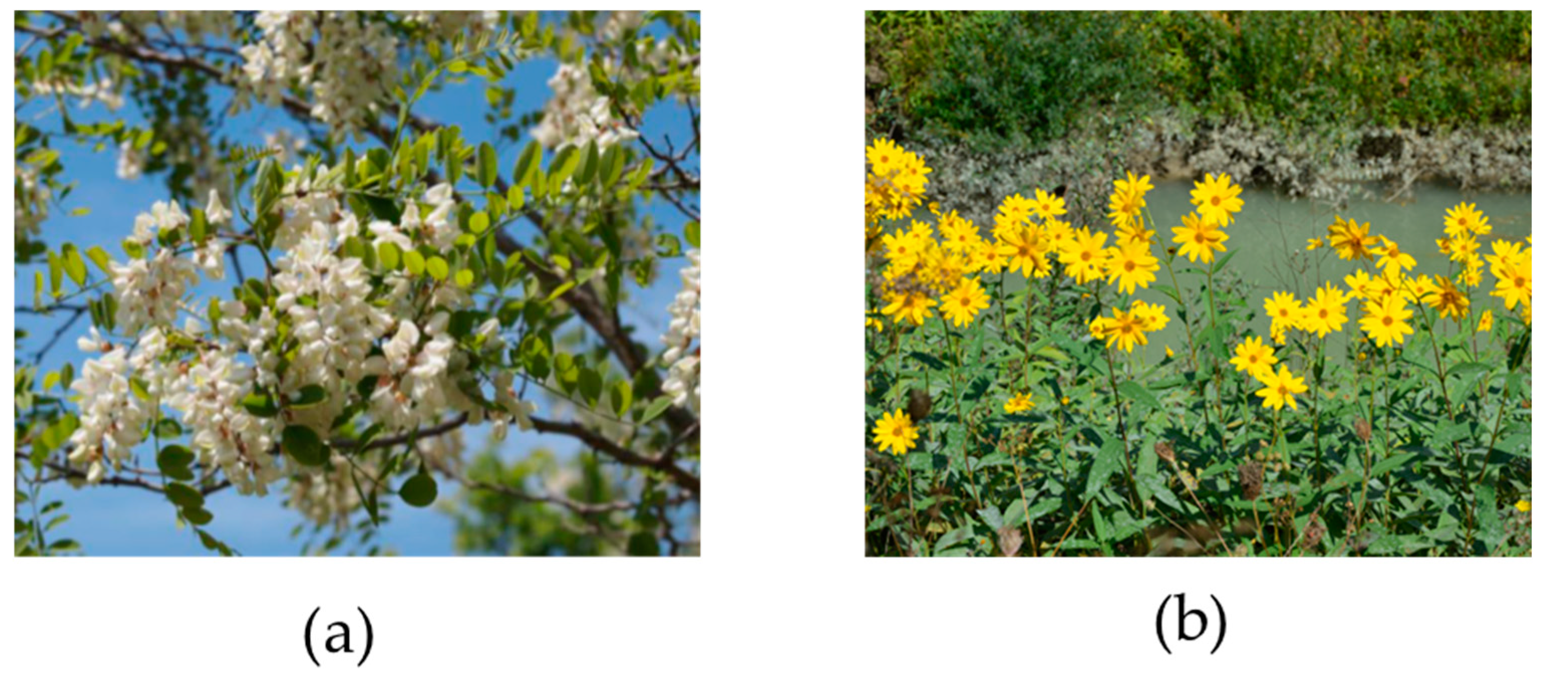 Foods 14 00416 g002 Foods 14 00416 g002