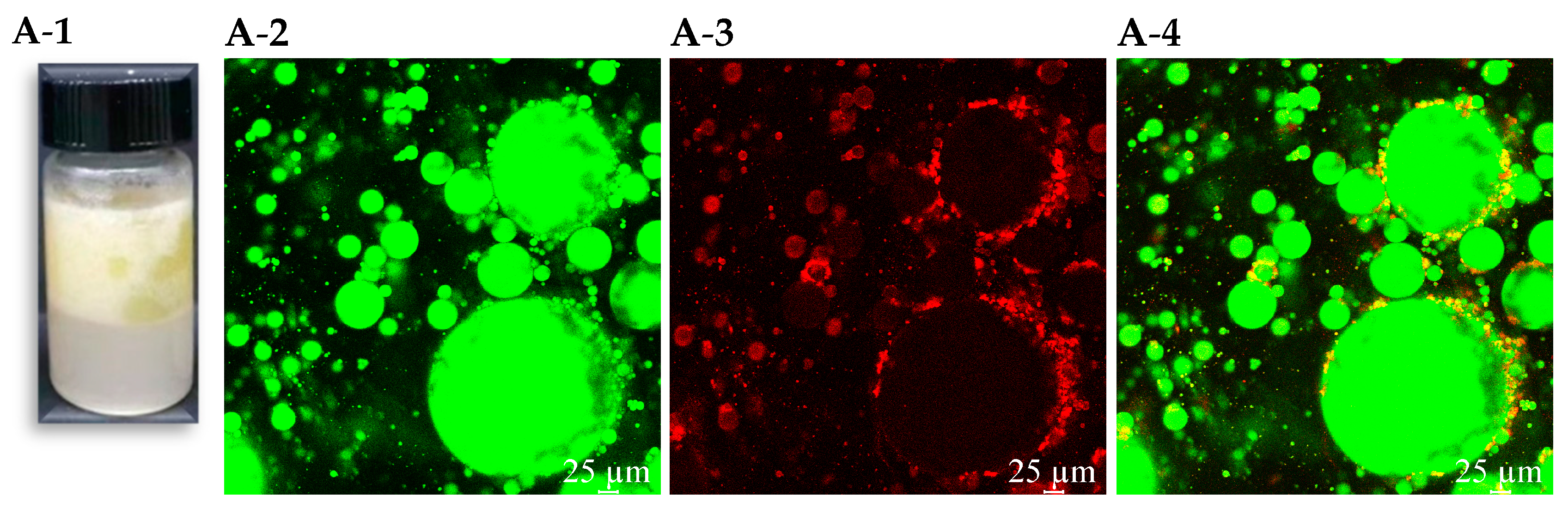 Foods 14 00417 g002a