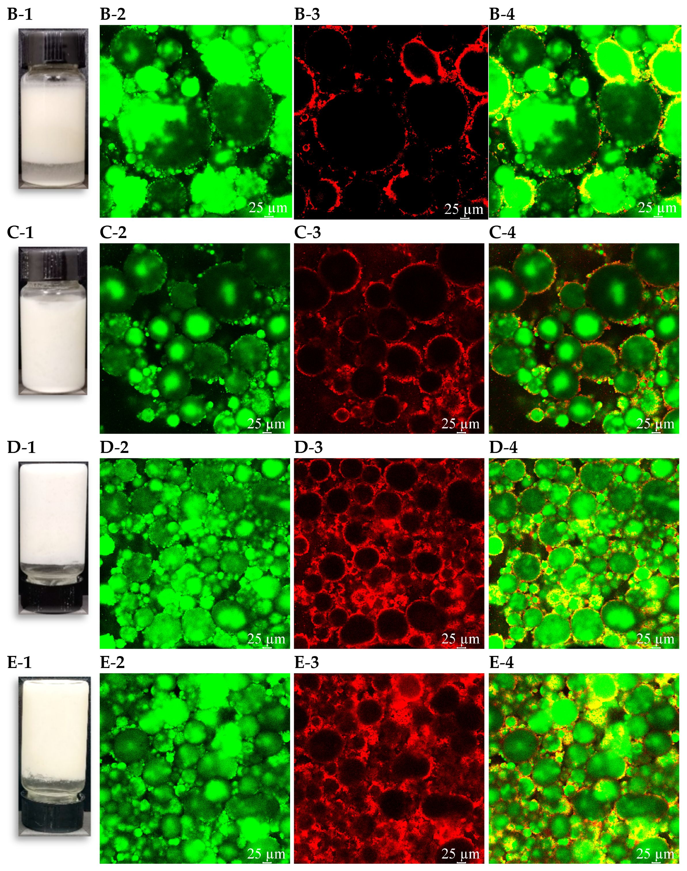Foods 14 00417 g002b