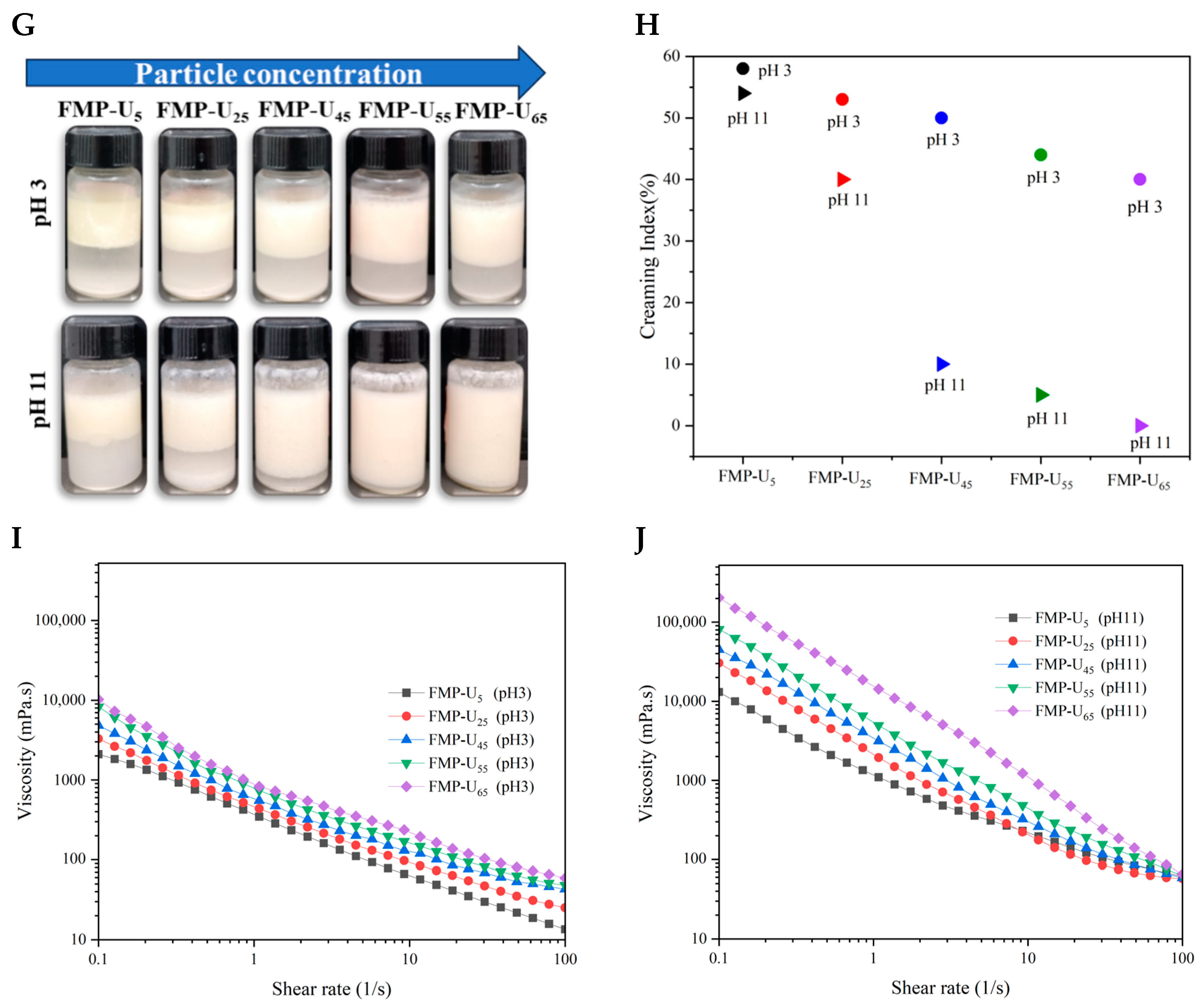 Foods 14 00417 g004b