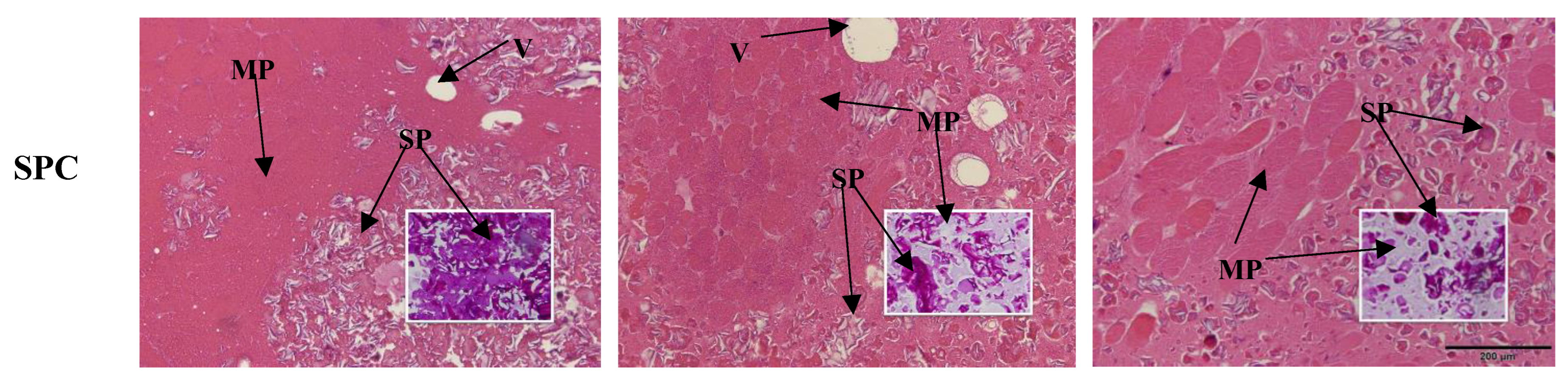 Foods 14 00427 g004b