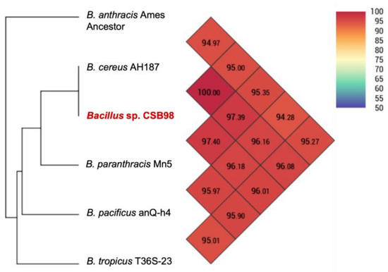 Cytotoxicity and Genome Characteristics of an Emetic Toxin