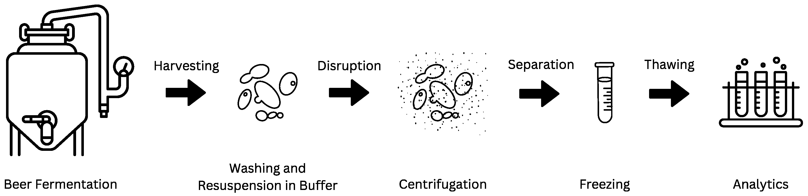 Foods 14 00503 g001 Foods 14 00503 g001