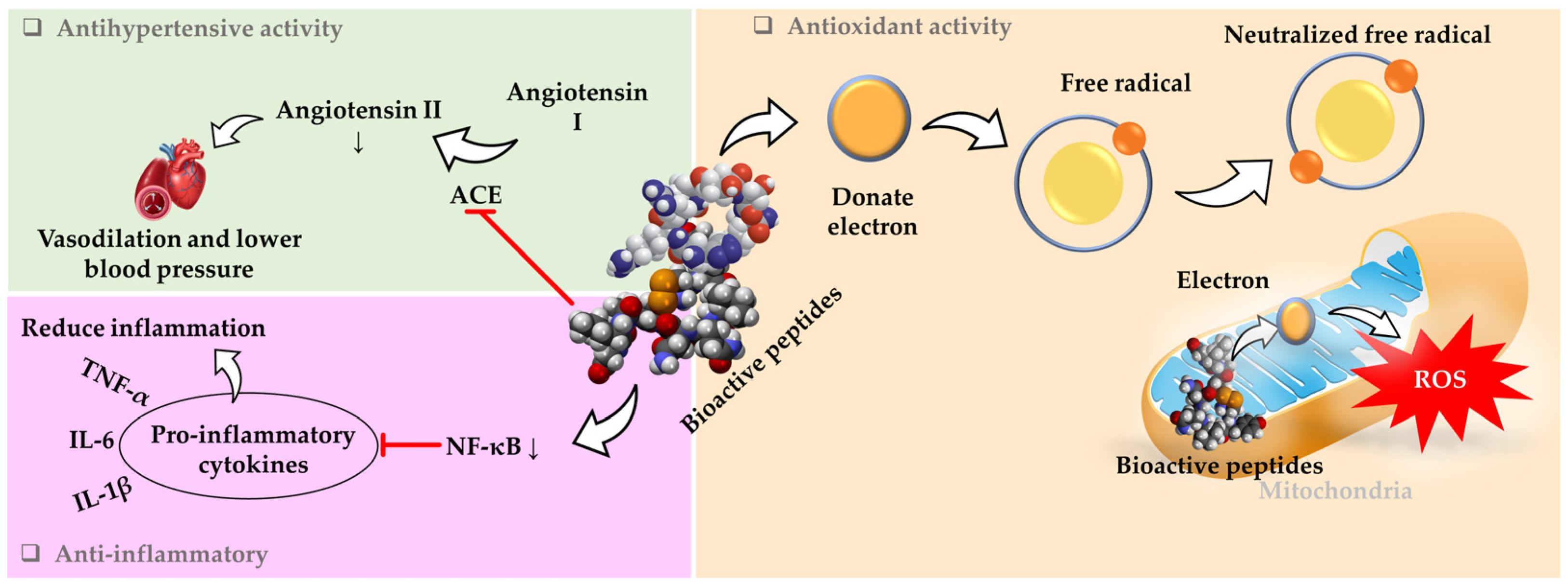 Foods 14 00515 g002 Foods 14 00515 g002