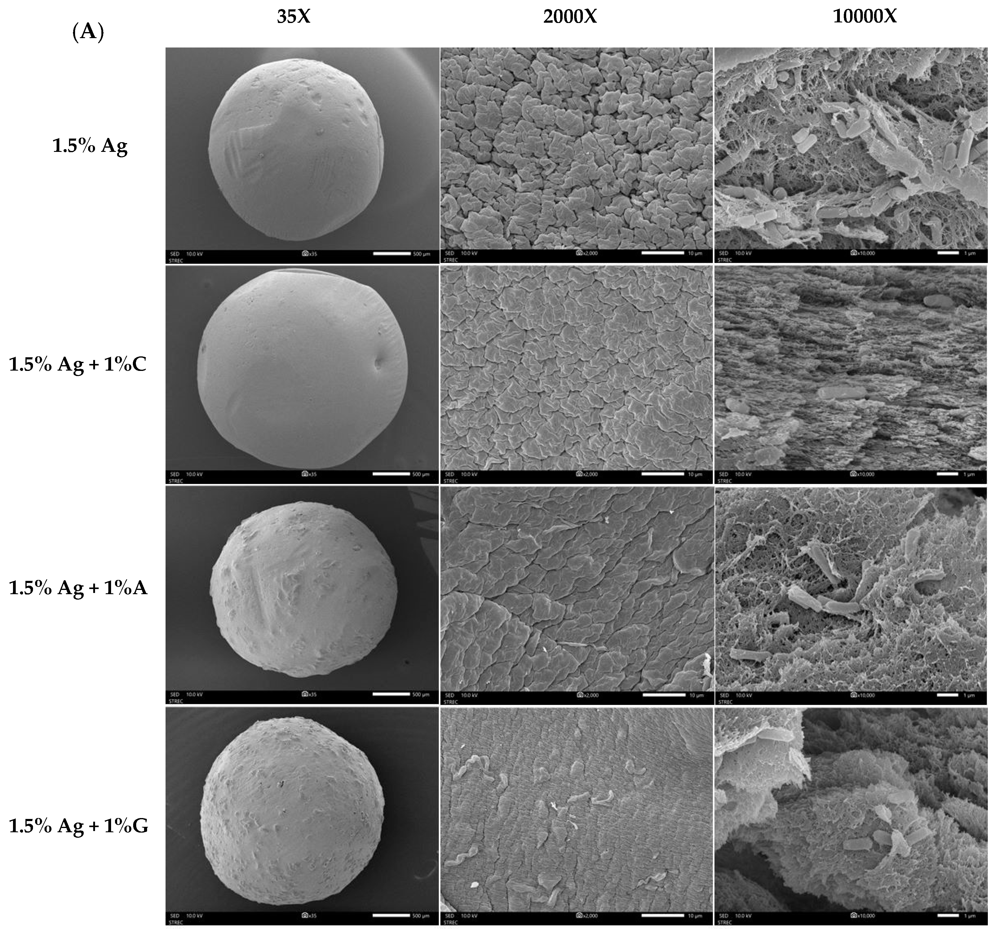 Foods 14 00518 g003a
