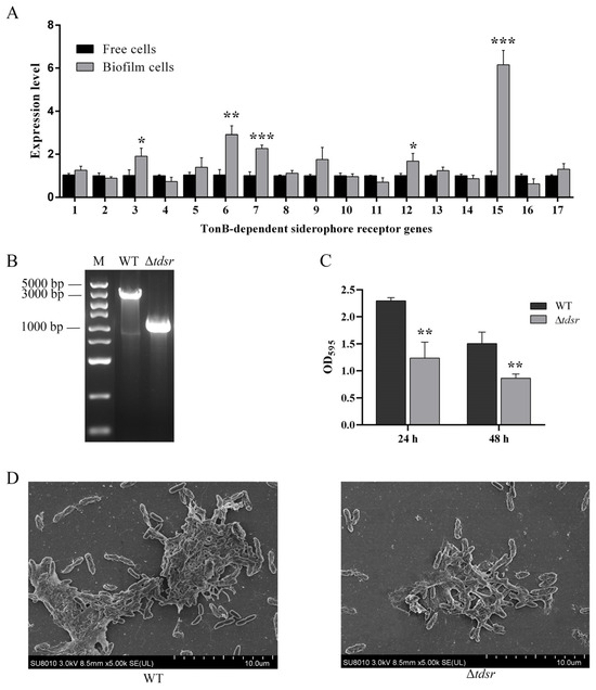 Application of Nanozymes in Environmental Monitoring