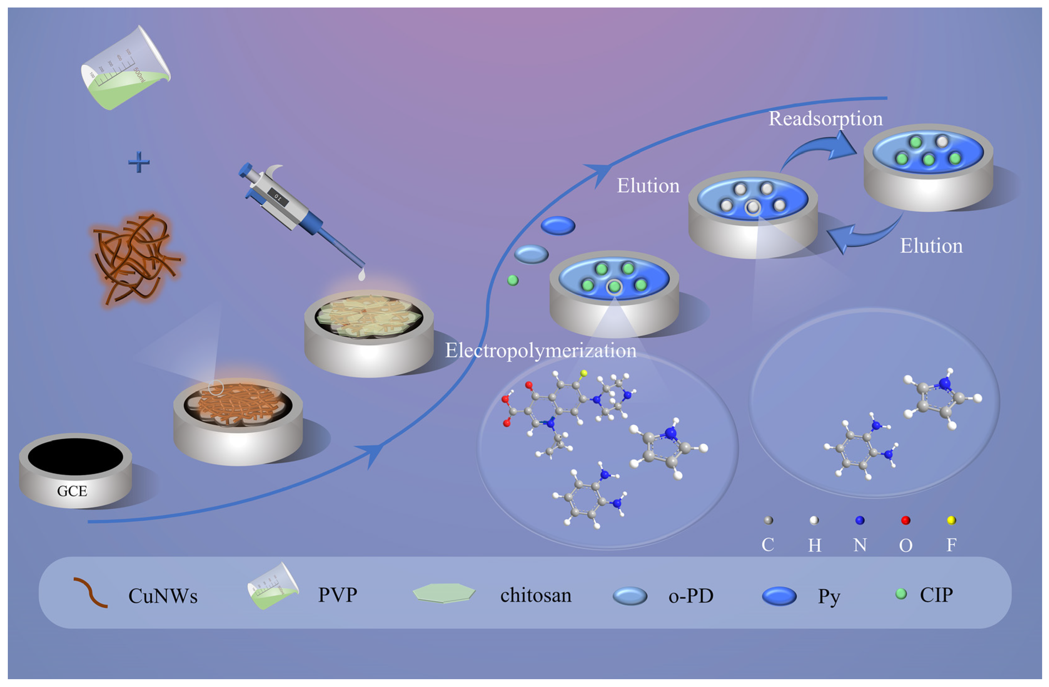 Foods 14 00538 sch001