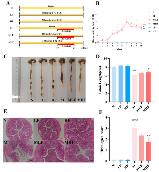 Investigating the Alleviating Effect of Fucoidan from