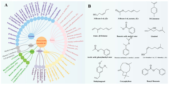 Development of Lily Starch Films Reinforced with Chitosan