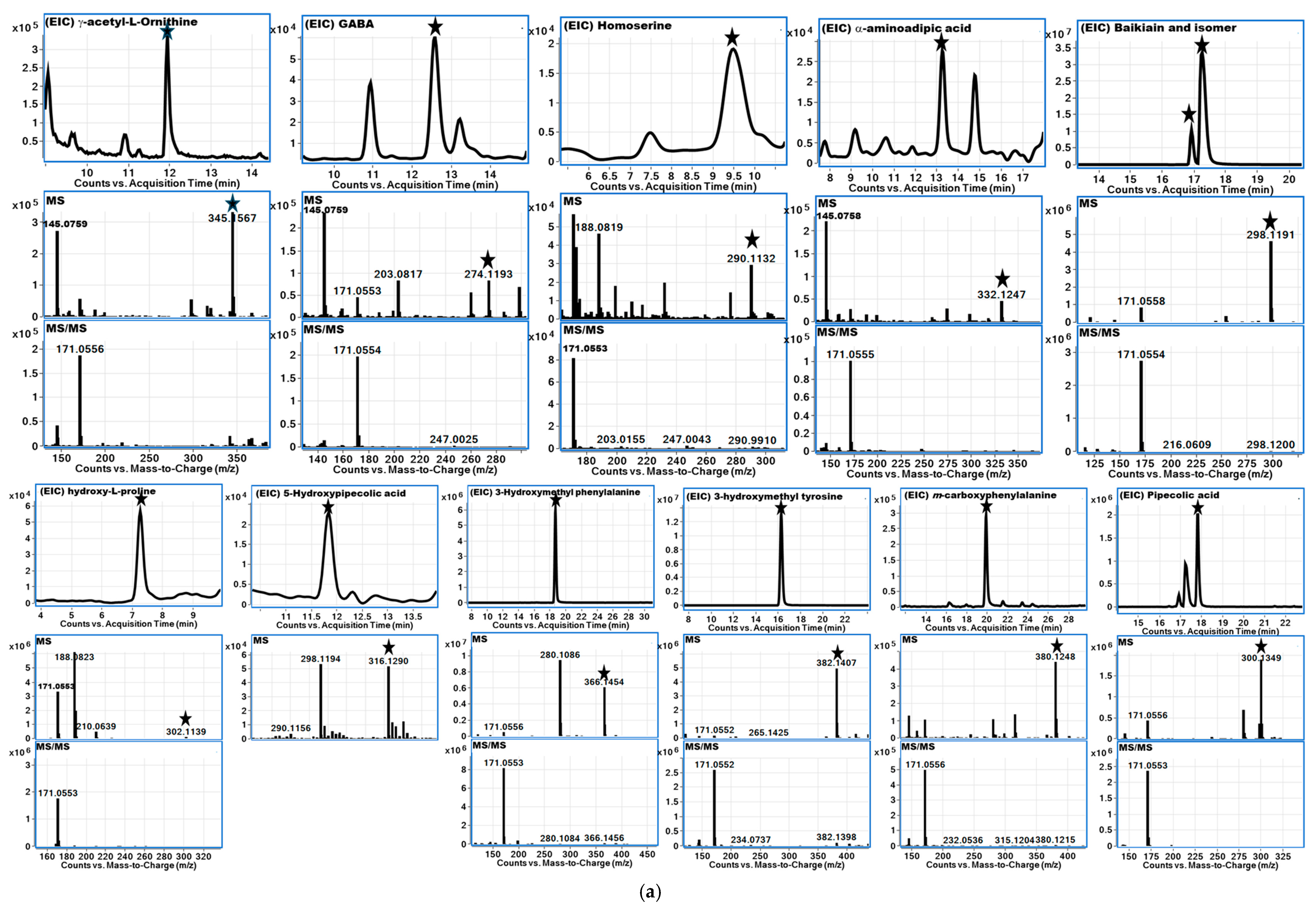 Foods 14 00611 g005a Foods 14 00611 g005a