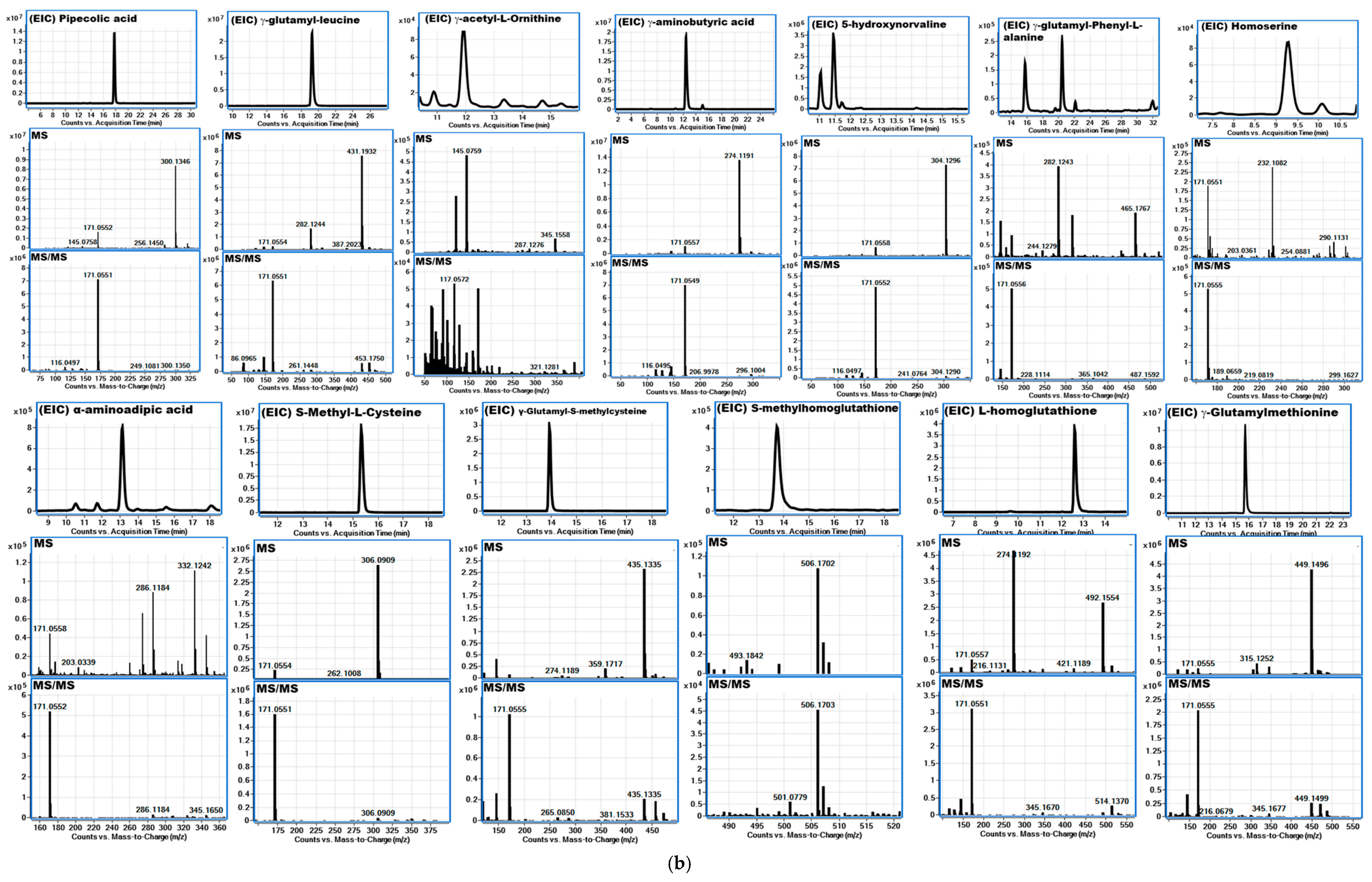 Foods 14 00611 g005b Foods 14 00611 g005b