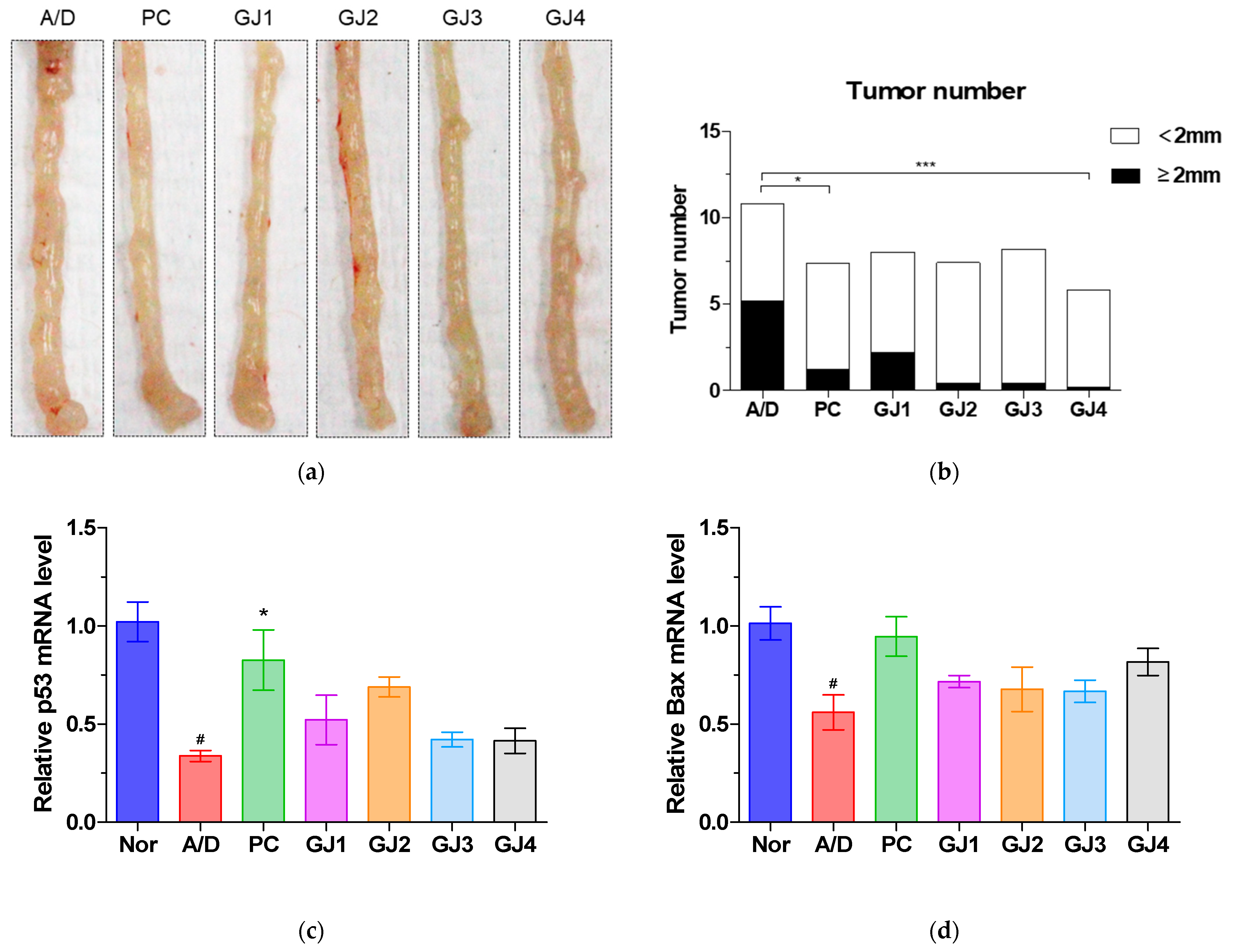 Foods 14 00632 g003a