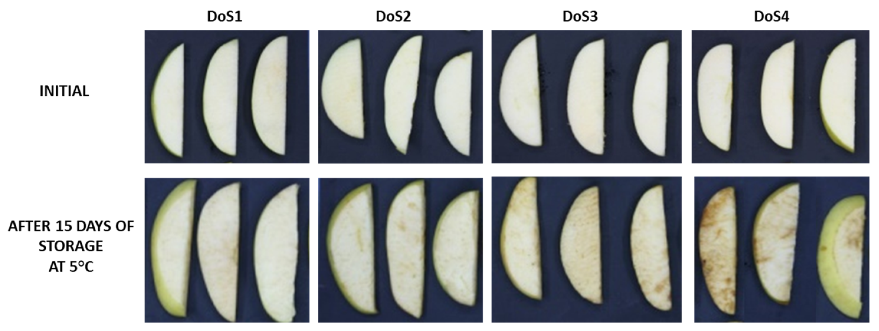 Foods 14 00636 g001 Foods 14 00636 g001