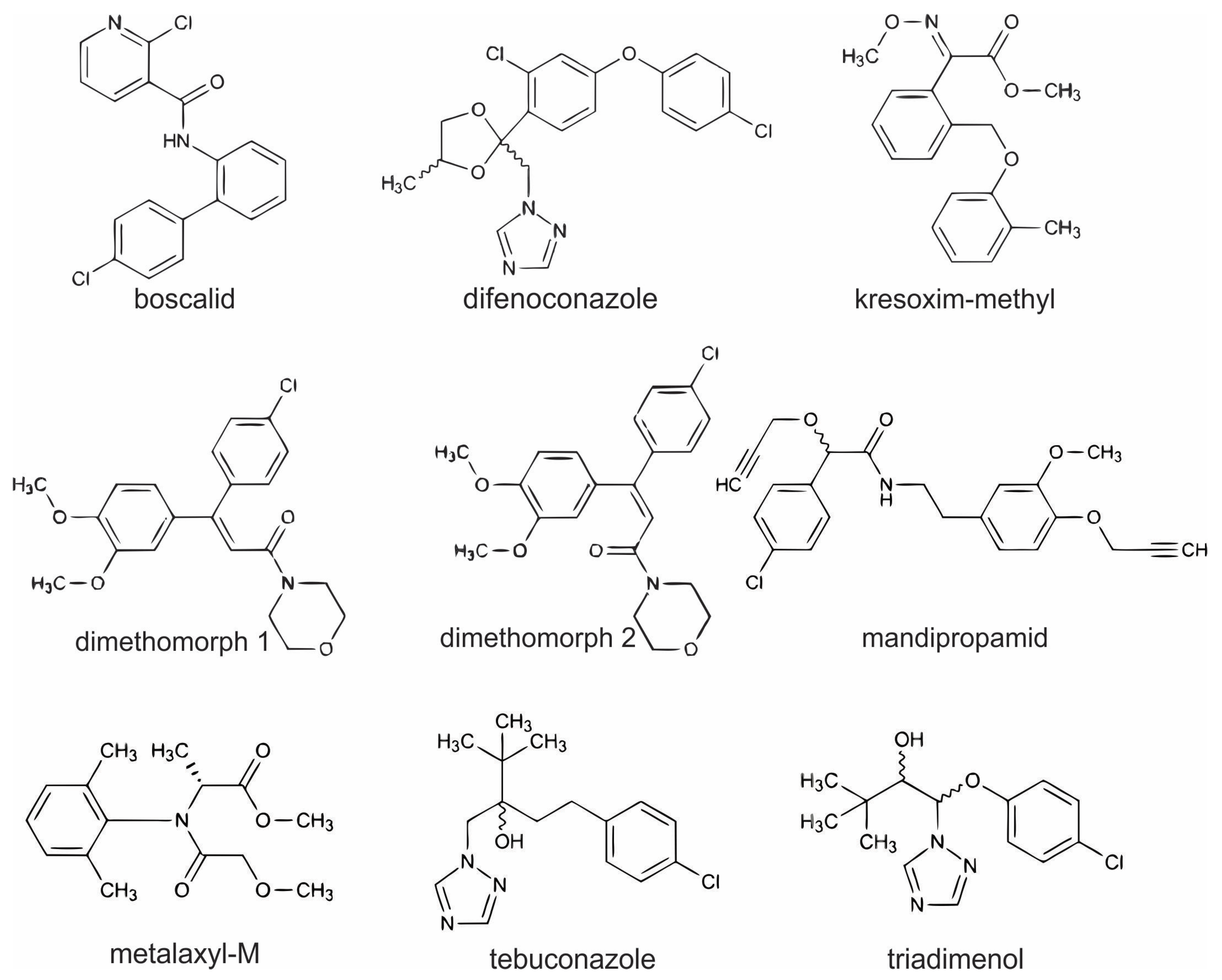 Foods 14 00684 g001 Foods 14 00684 g001