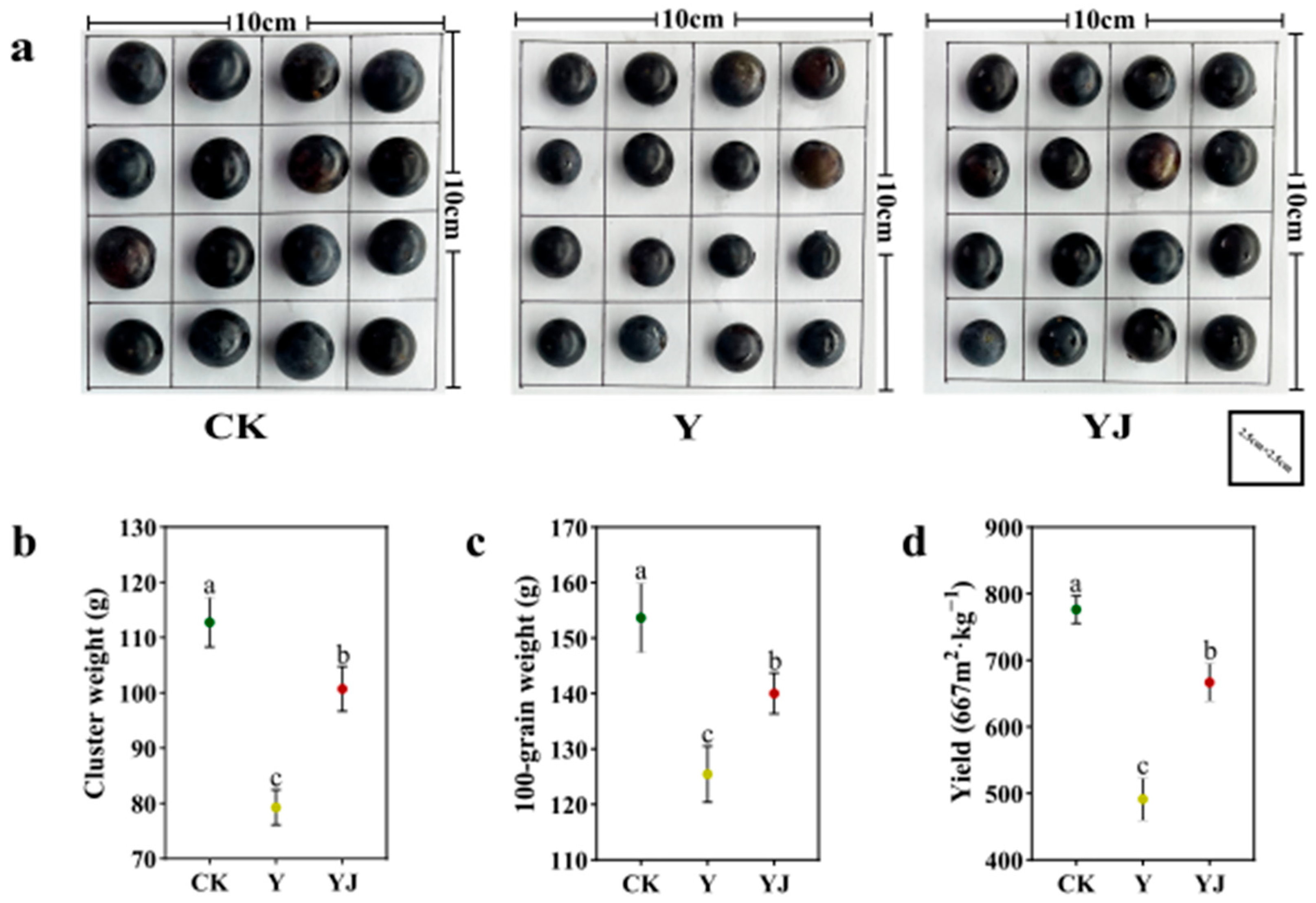Foods 14 00711 g005 Foods 14 00711 g005