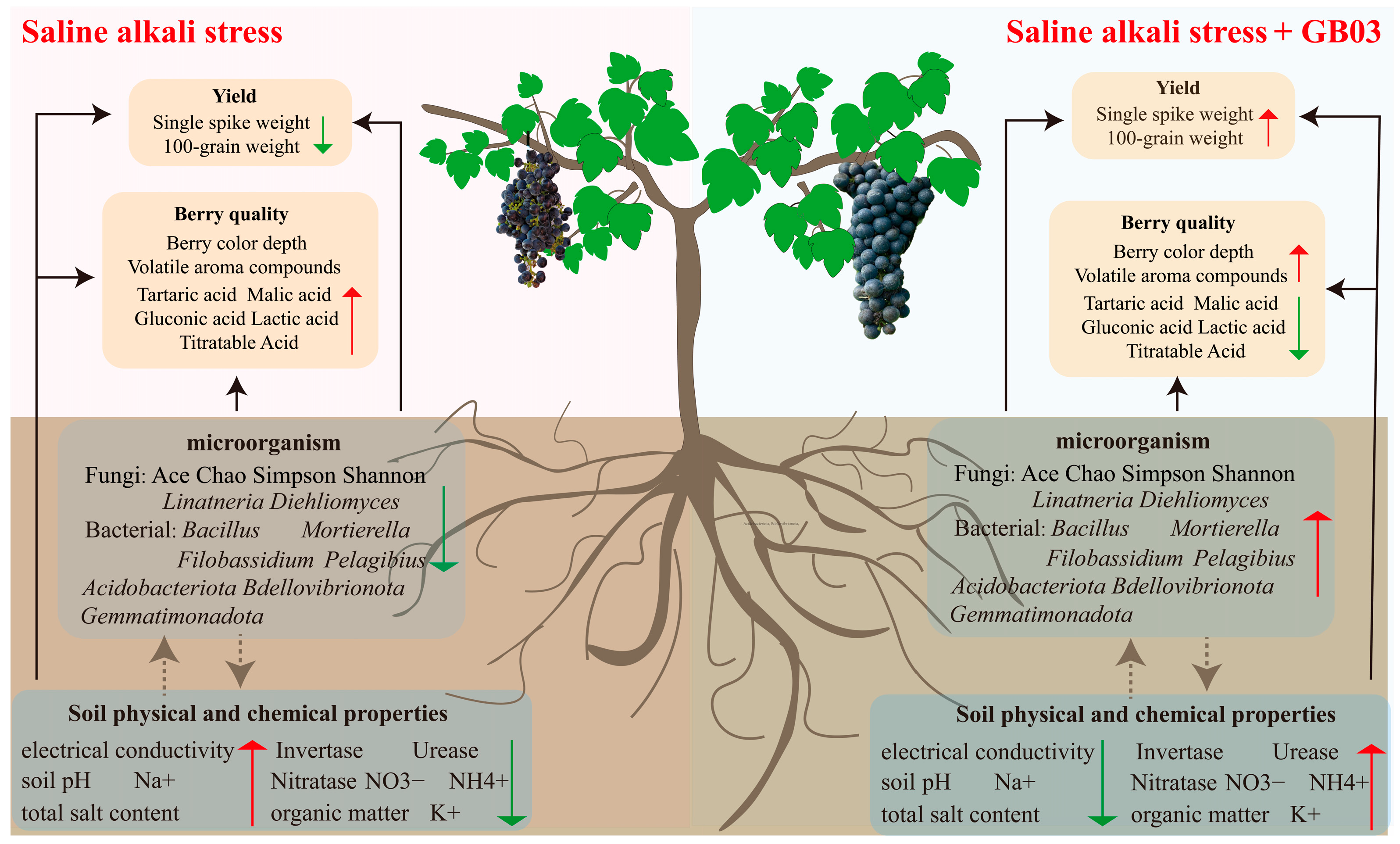 Foods 14 00711 g010 Foods 14 00711 g010