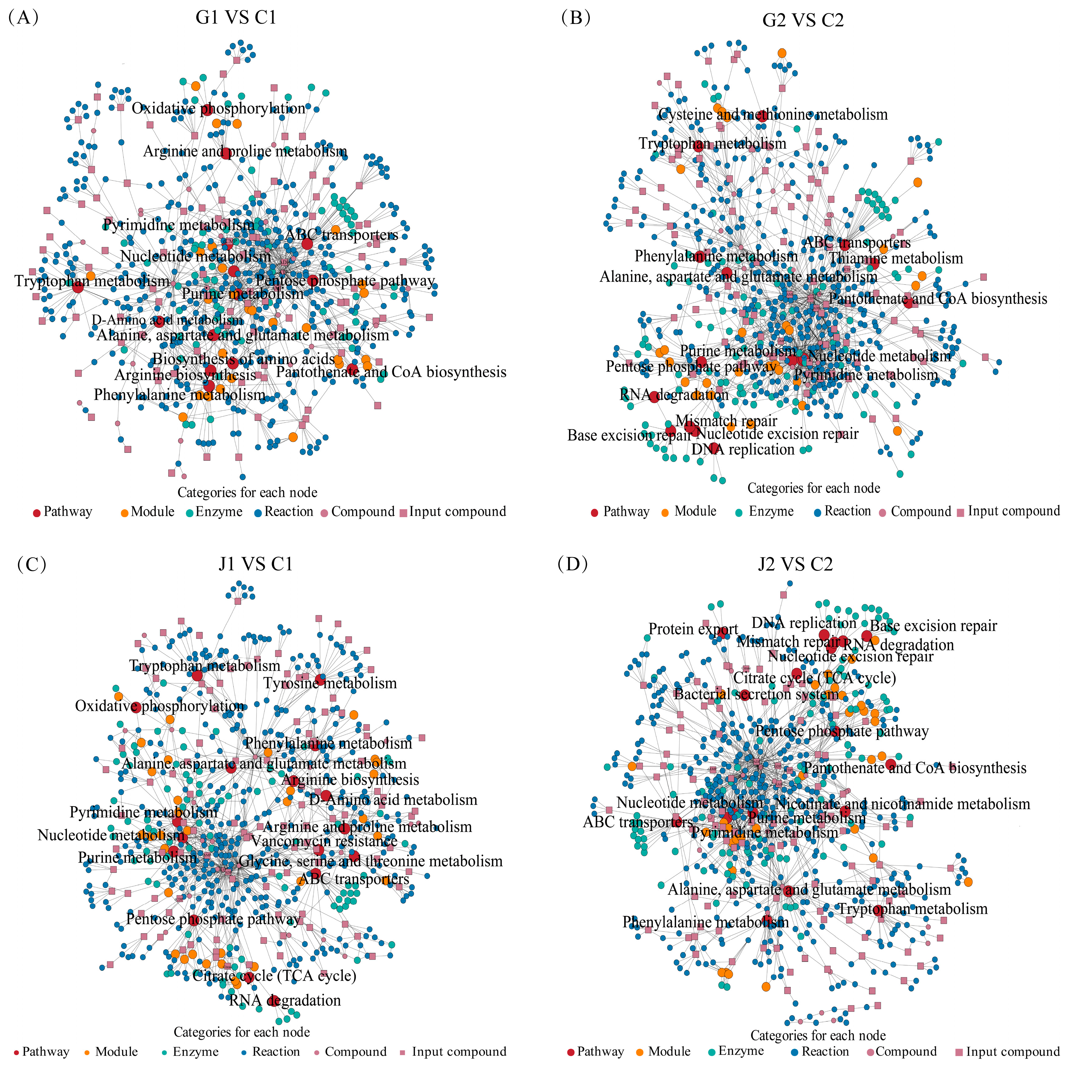 Foods 14 00730 g003 Foods 14 00730 g003