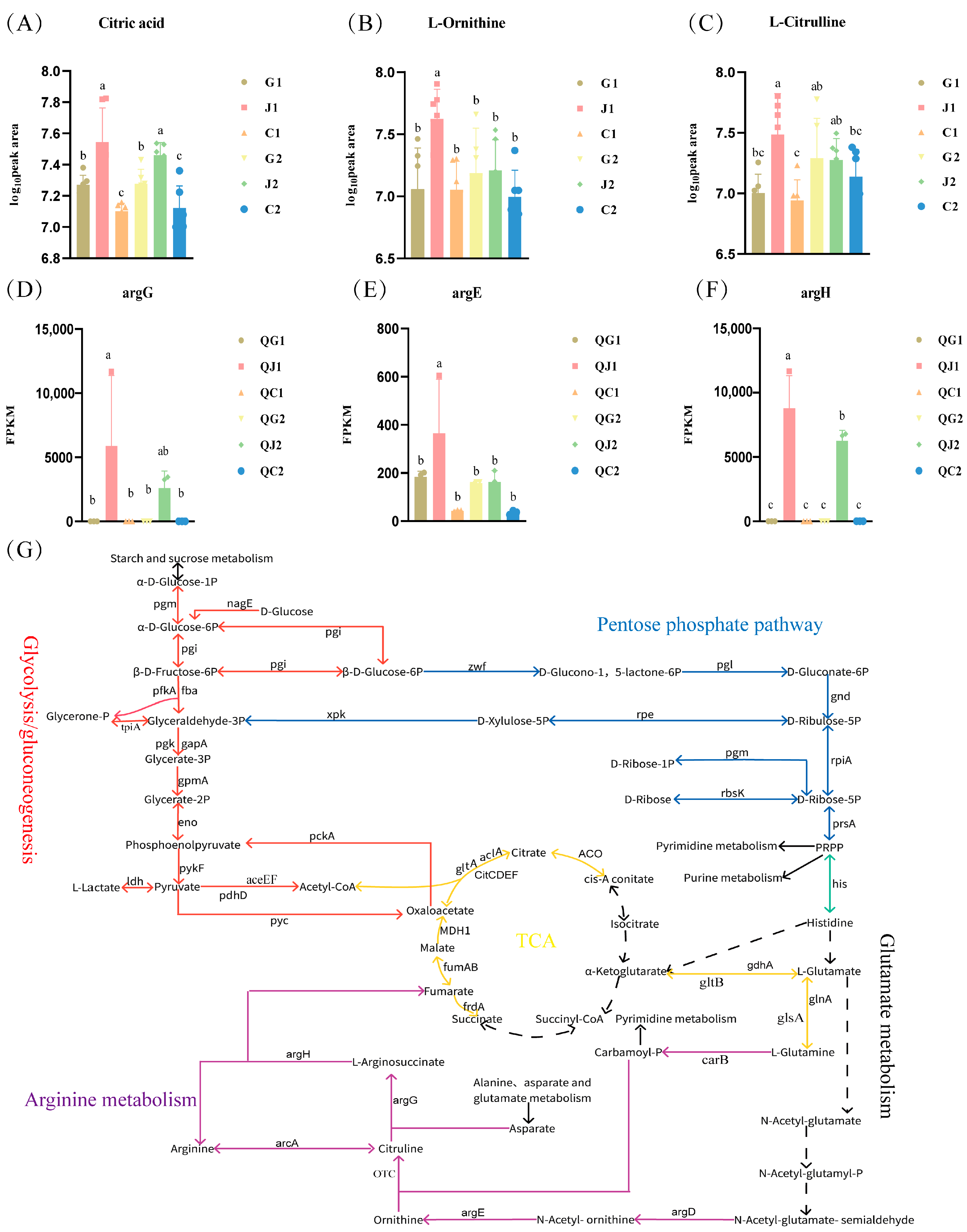 Foods 14 00730 g006 Foods 14 00730 g006