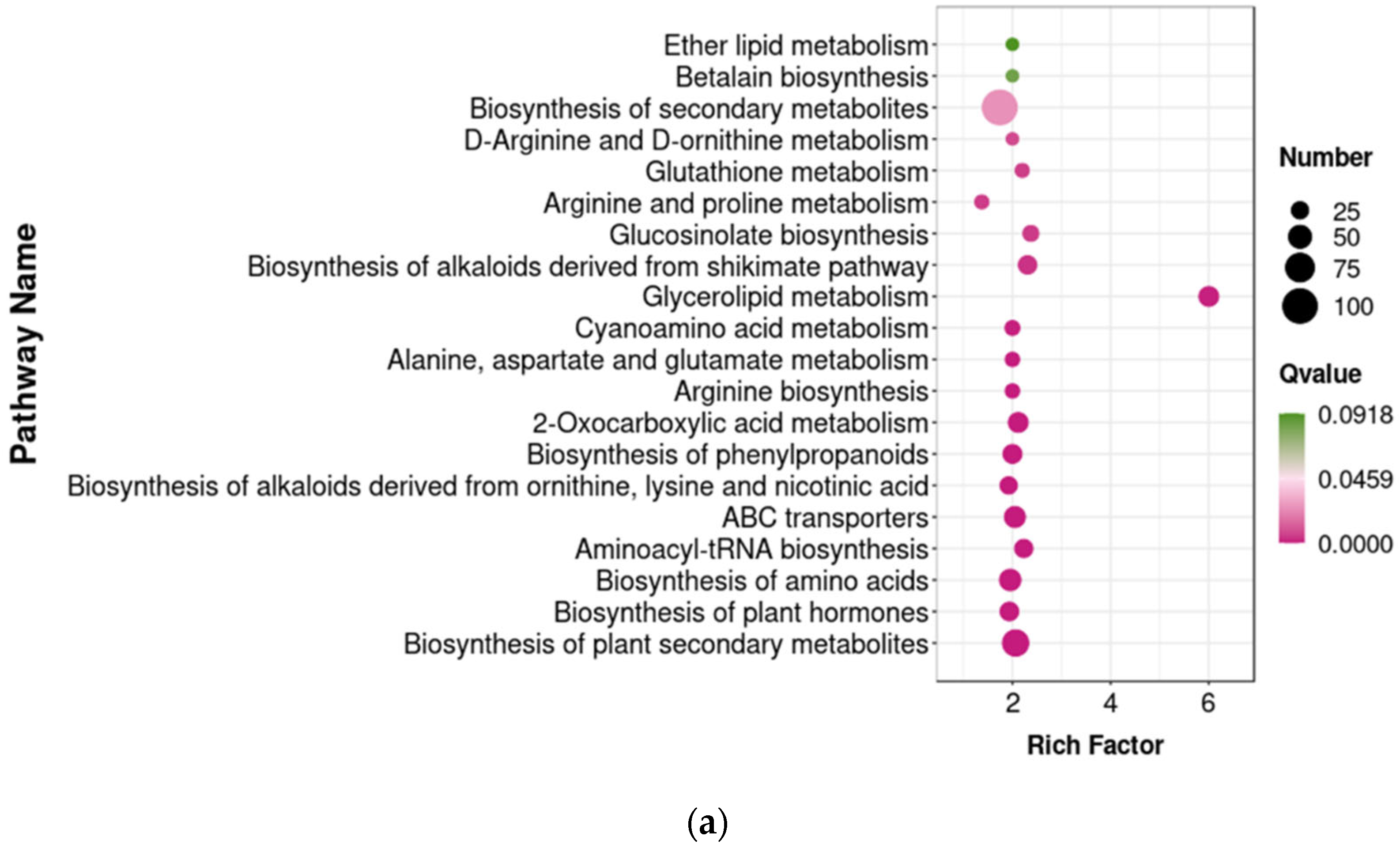 Foods 14 00733 g012a