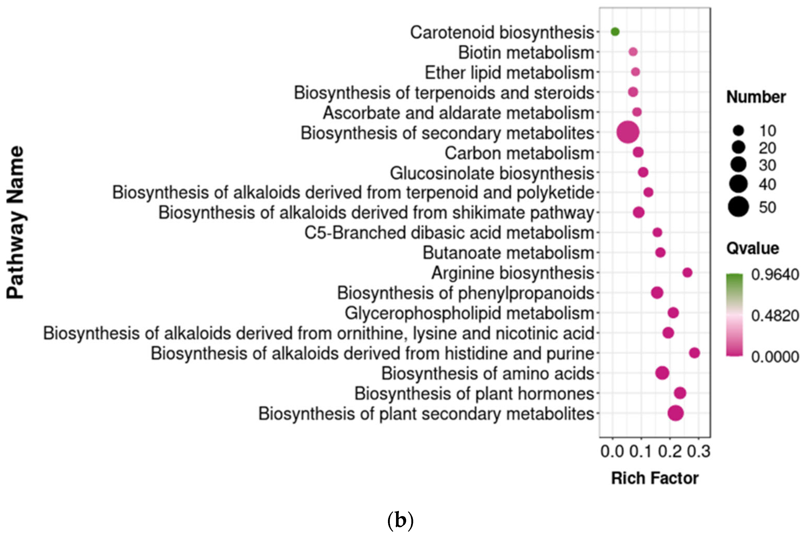 Foods 14 00733 g012b