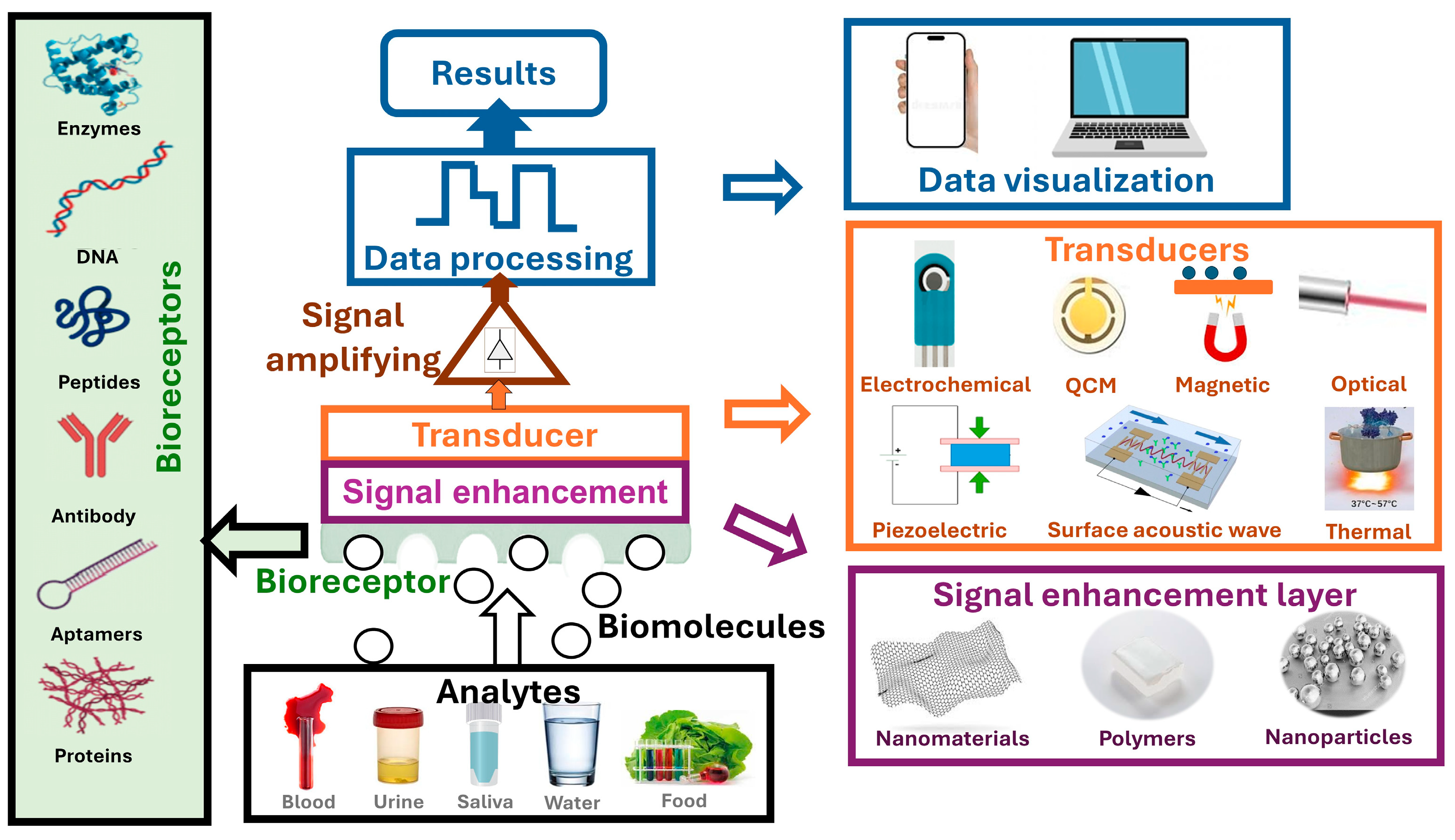 【ギフ_包装】 Recent Meat for Technologies Biosensor in Advances その他