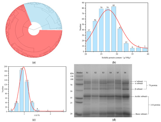 Structure and Functional Properties of Proteins from