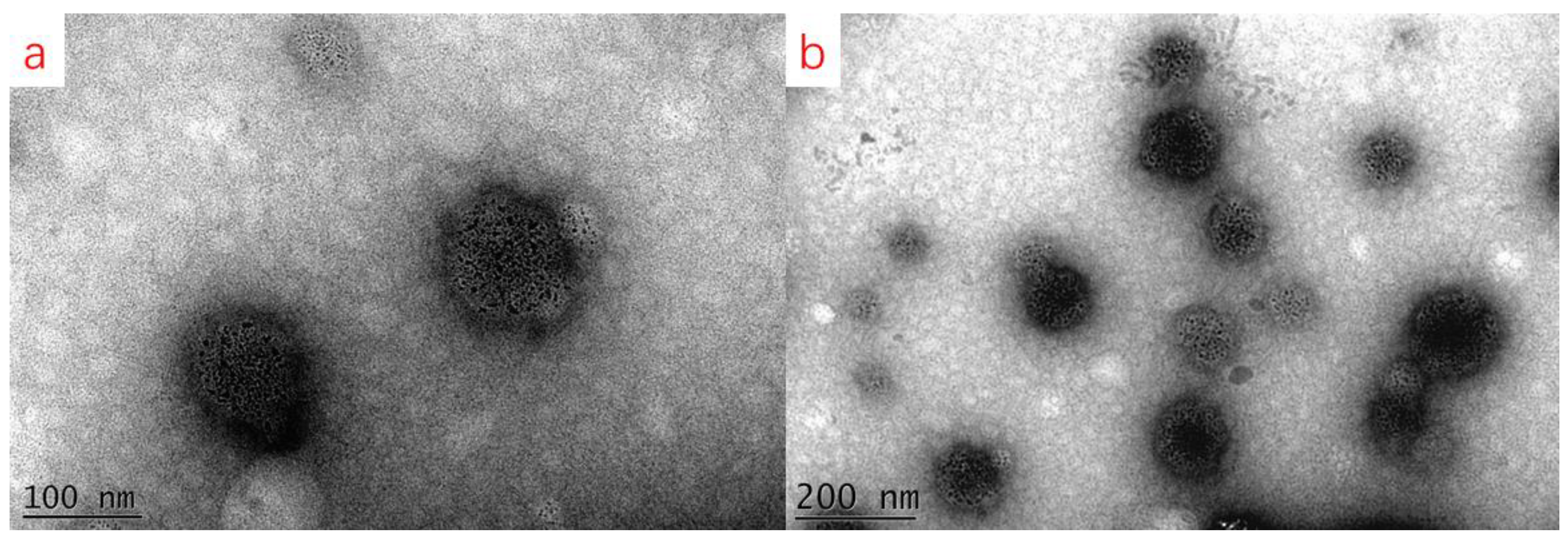Foods 14 00850 g007 Foods 14 00850 g007