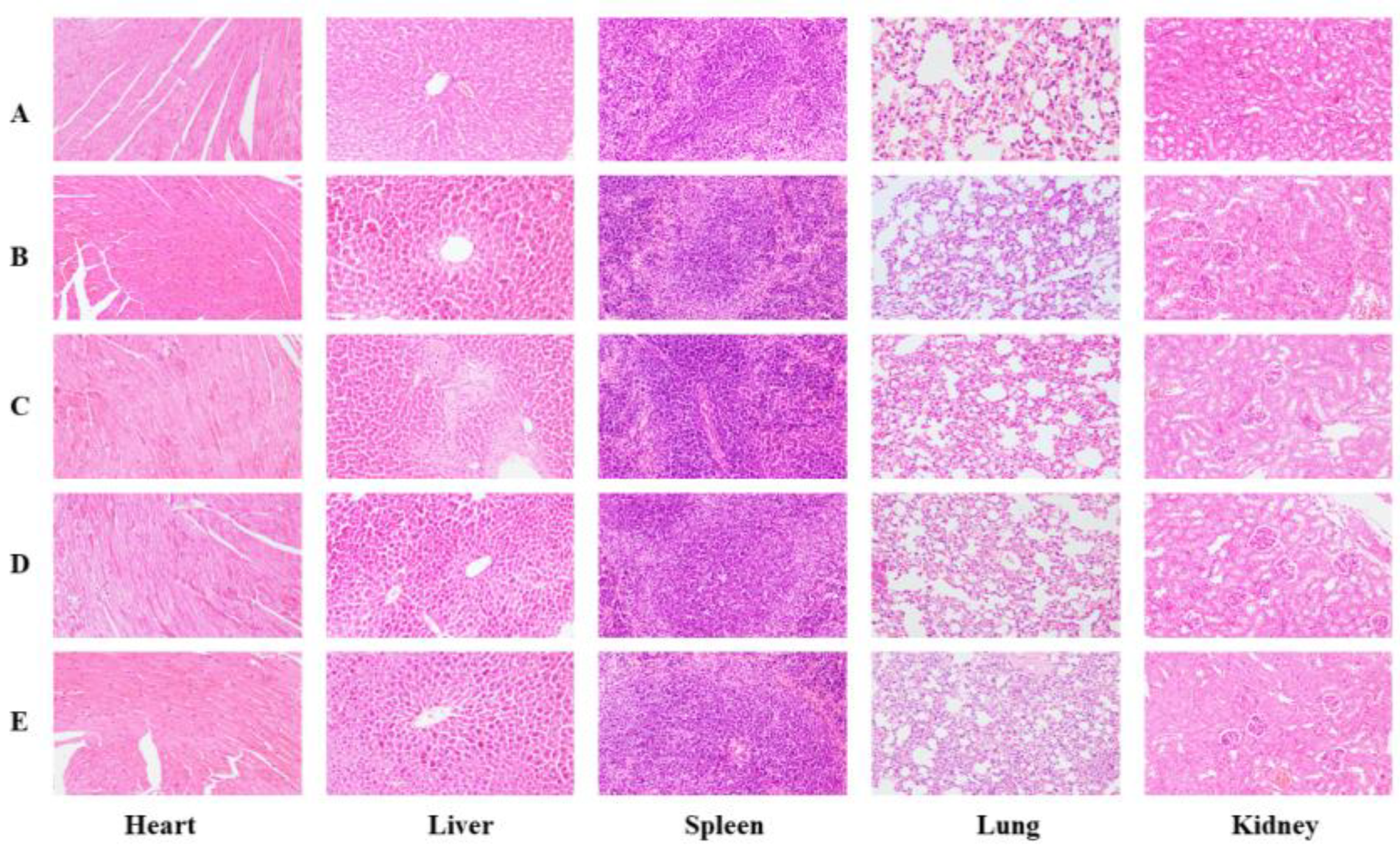 Foods 14 00850 g010 Foods 14 00850 g010