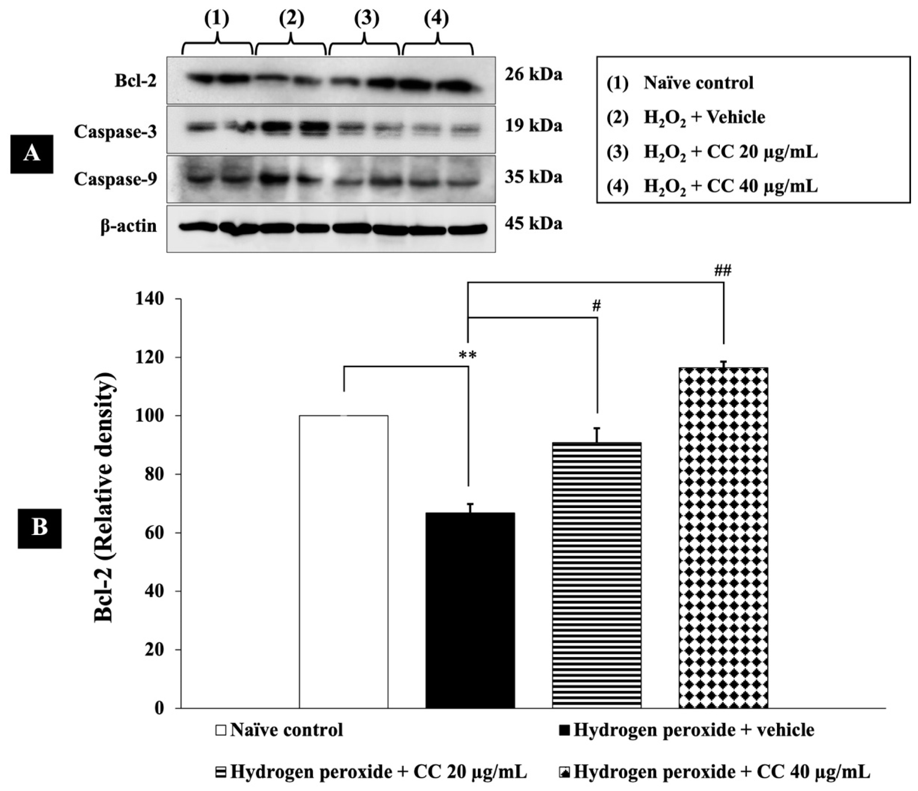 Foods 14 00892 g008a