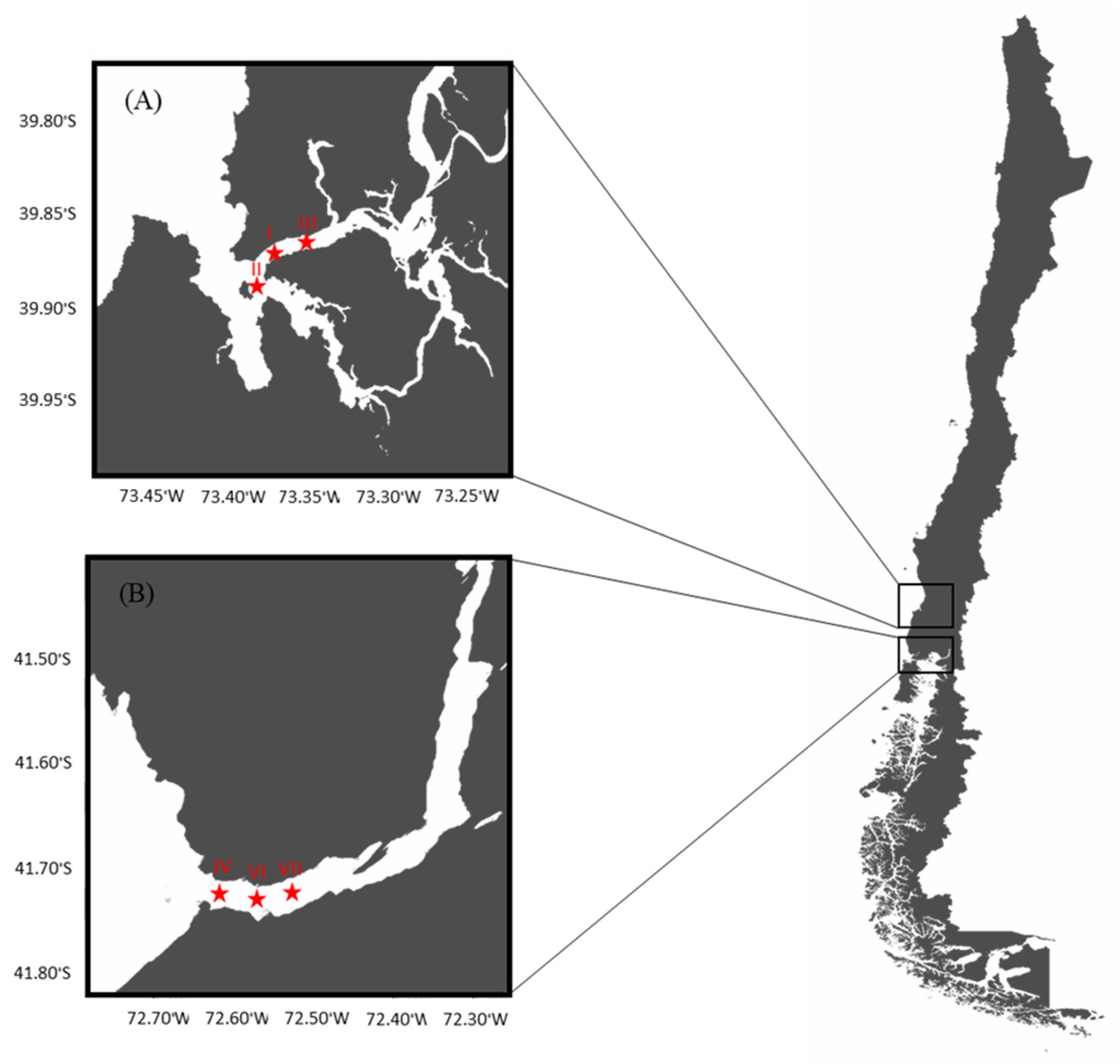 Foods 14 00916 g001 Foods 14 00916 g001