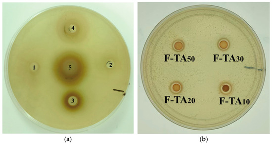 358 Advances in rare metal catalysis for common CO2 reduction