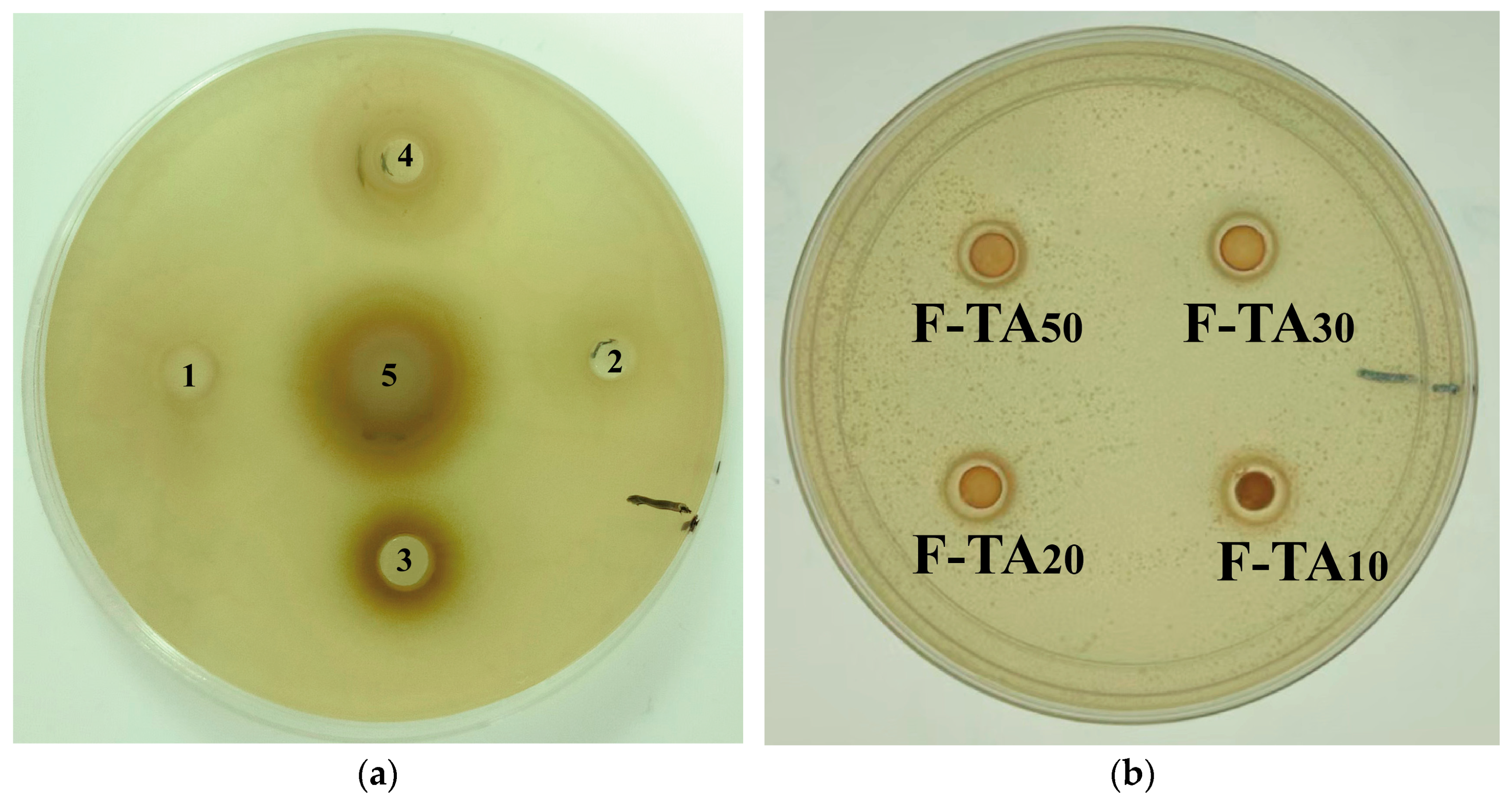 Foods 14 00974 g016a