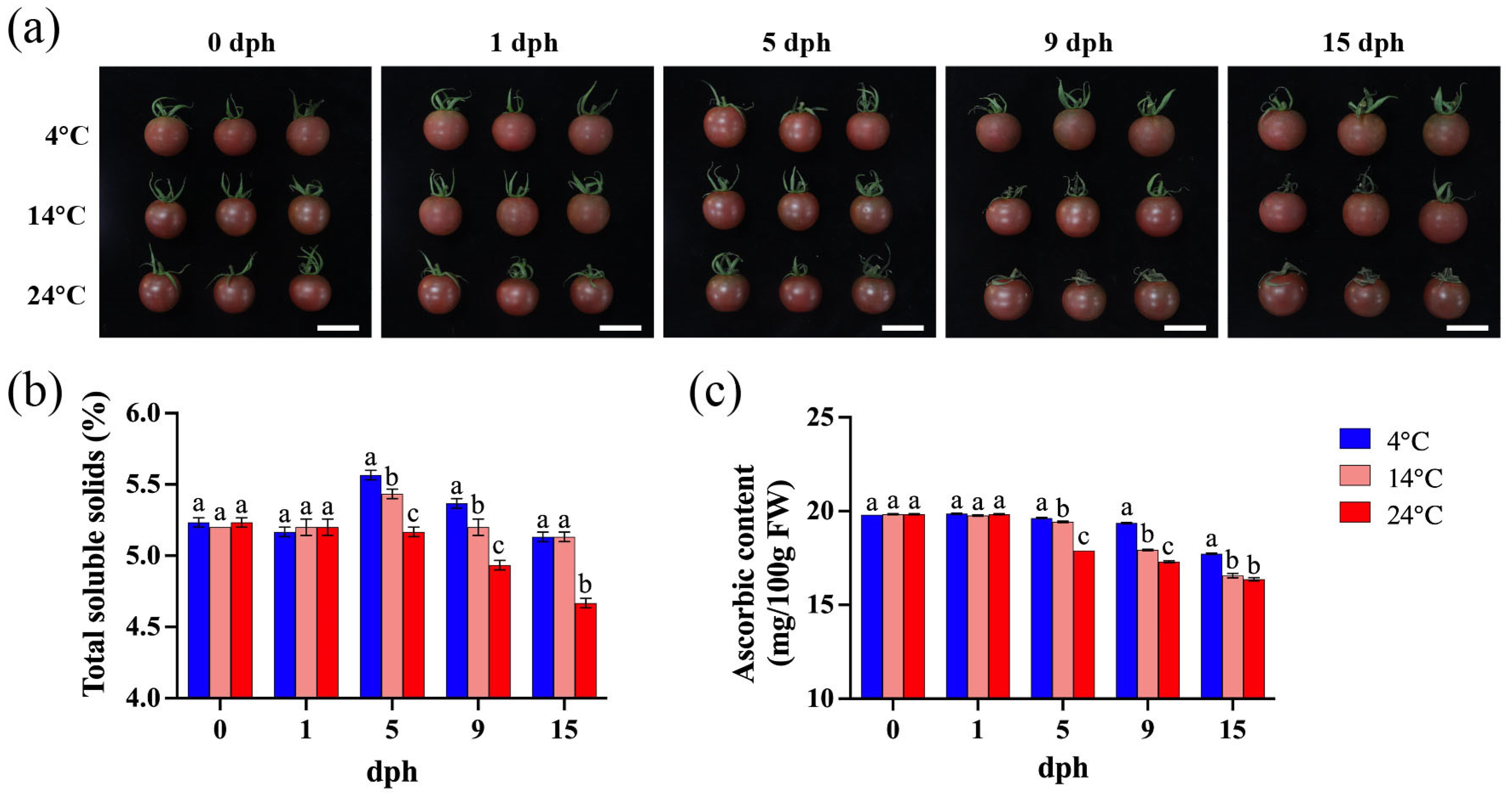 Foods 14 01002 g001 Foods 14 01002 g001