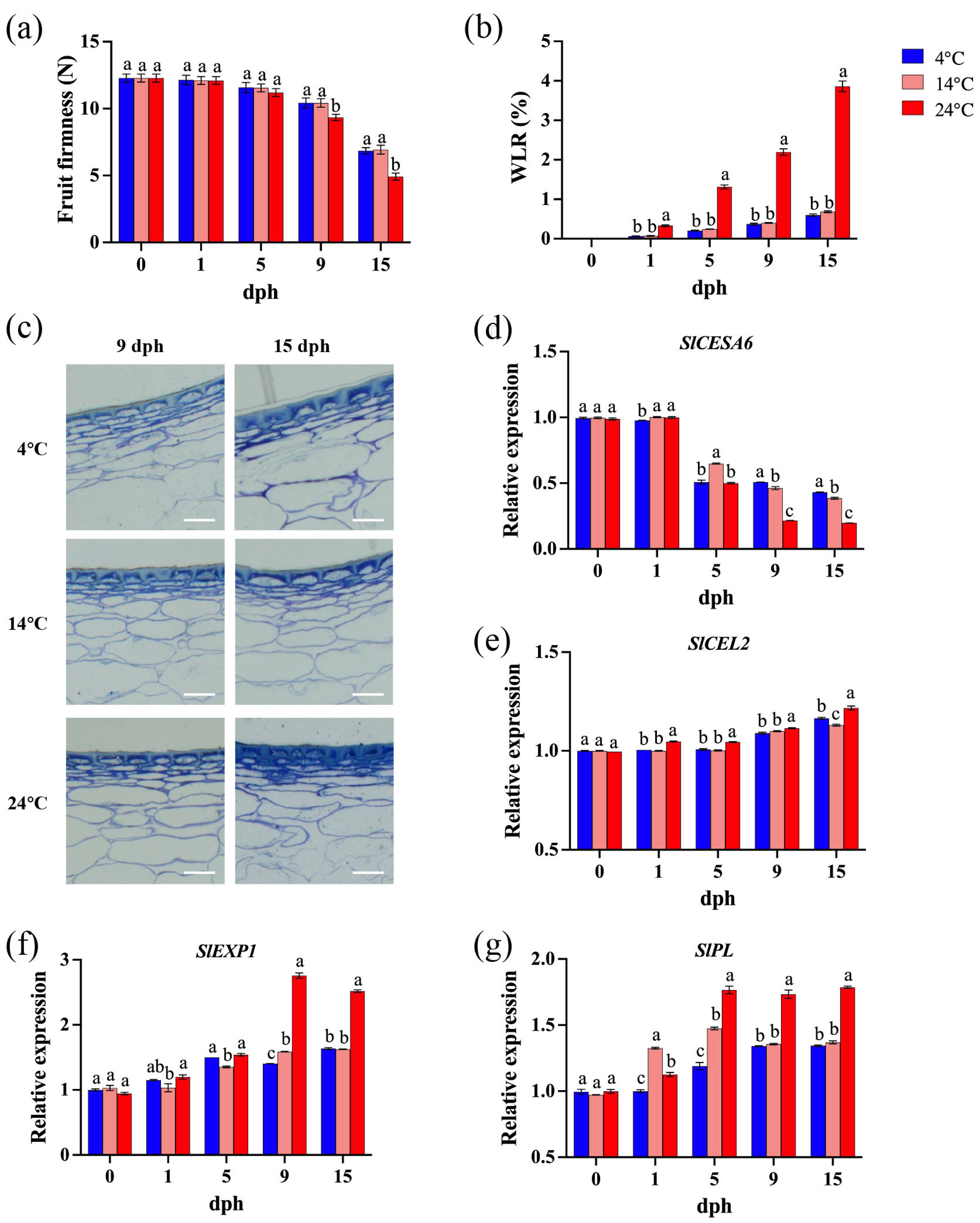 Foods 14 01002 g002 Foods 14 01002 g002