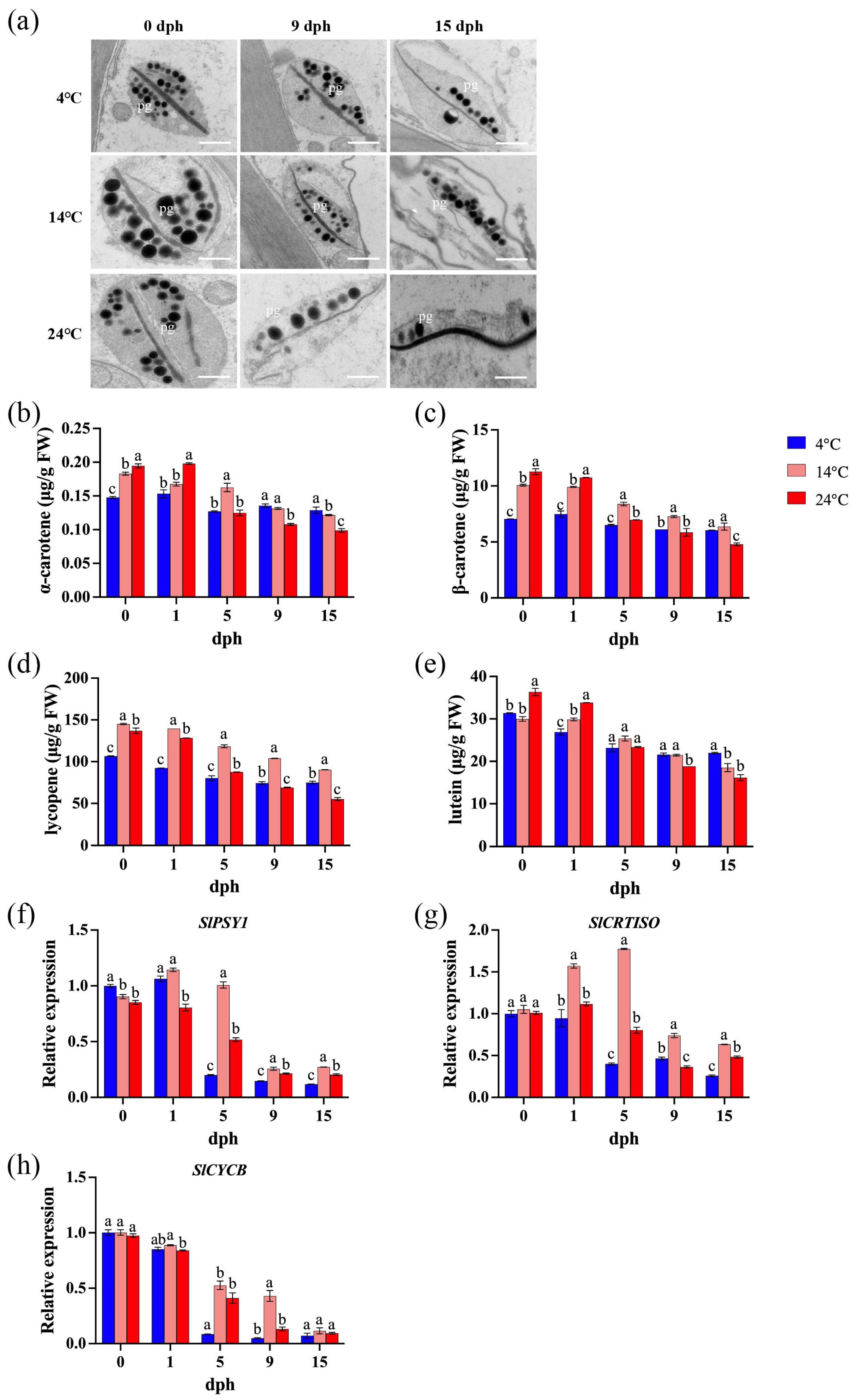 Foods 14 01002 g004 Foods 14 01002 g004