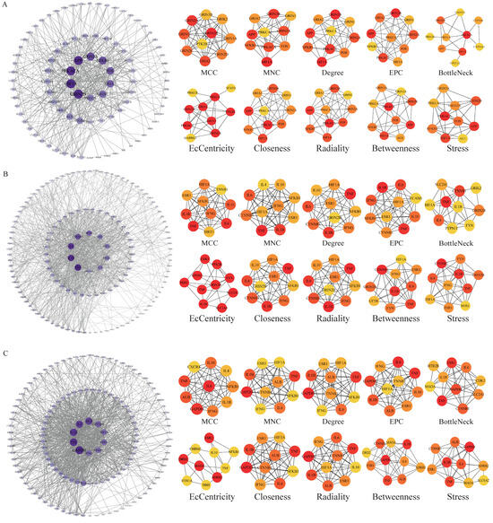 は Mercury Ion Responsive Wettability and Oil/Water Separation