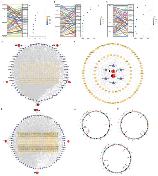Exploring the Mechanisms of the Antioxidants BHA, BHT, and TBHQ in