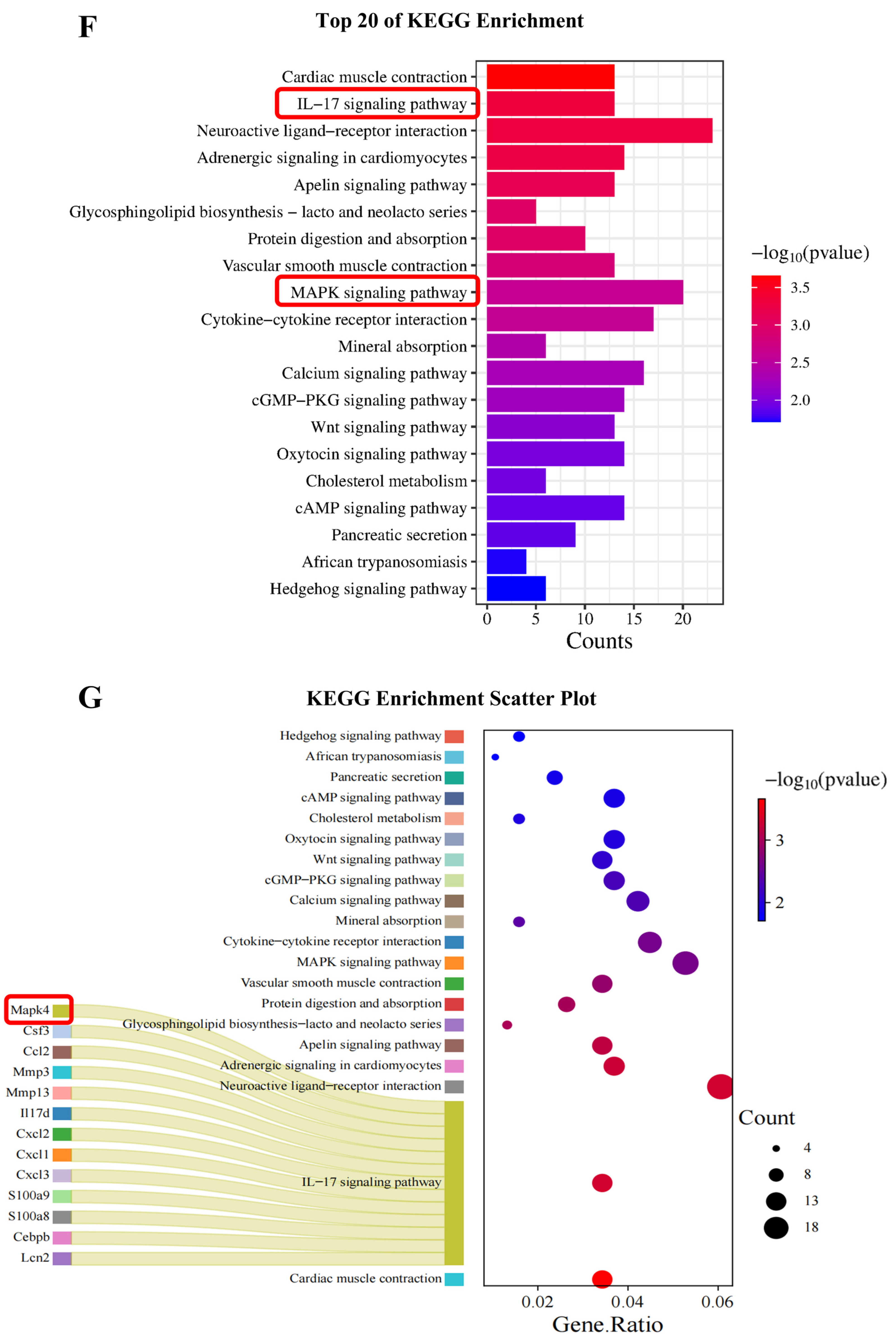Foods 14 01110 g004c