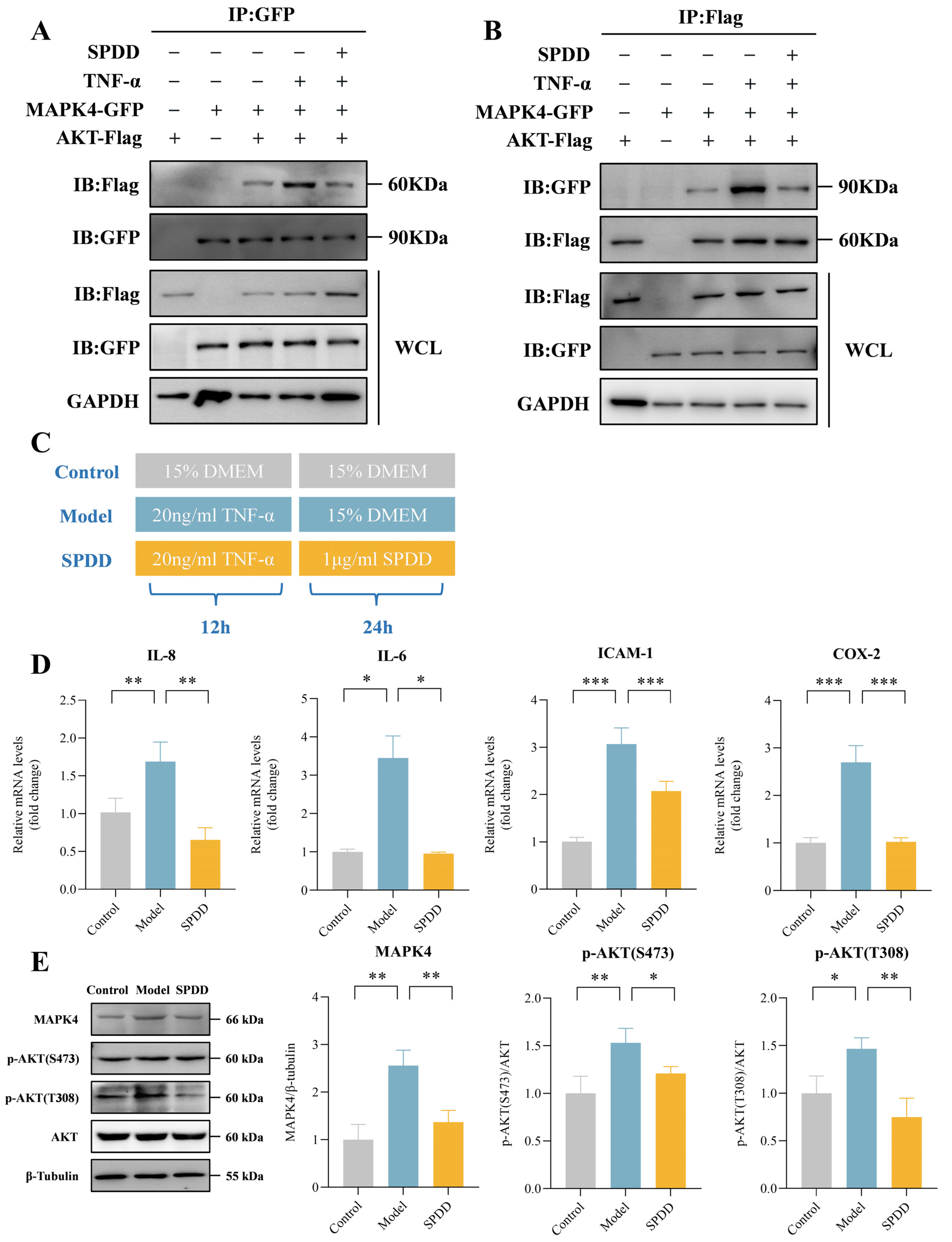 Foods 14 01110 g006a